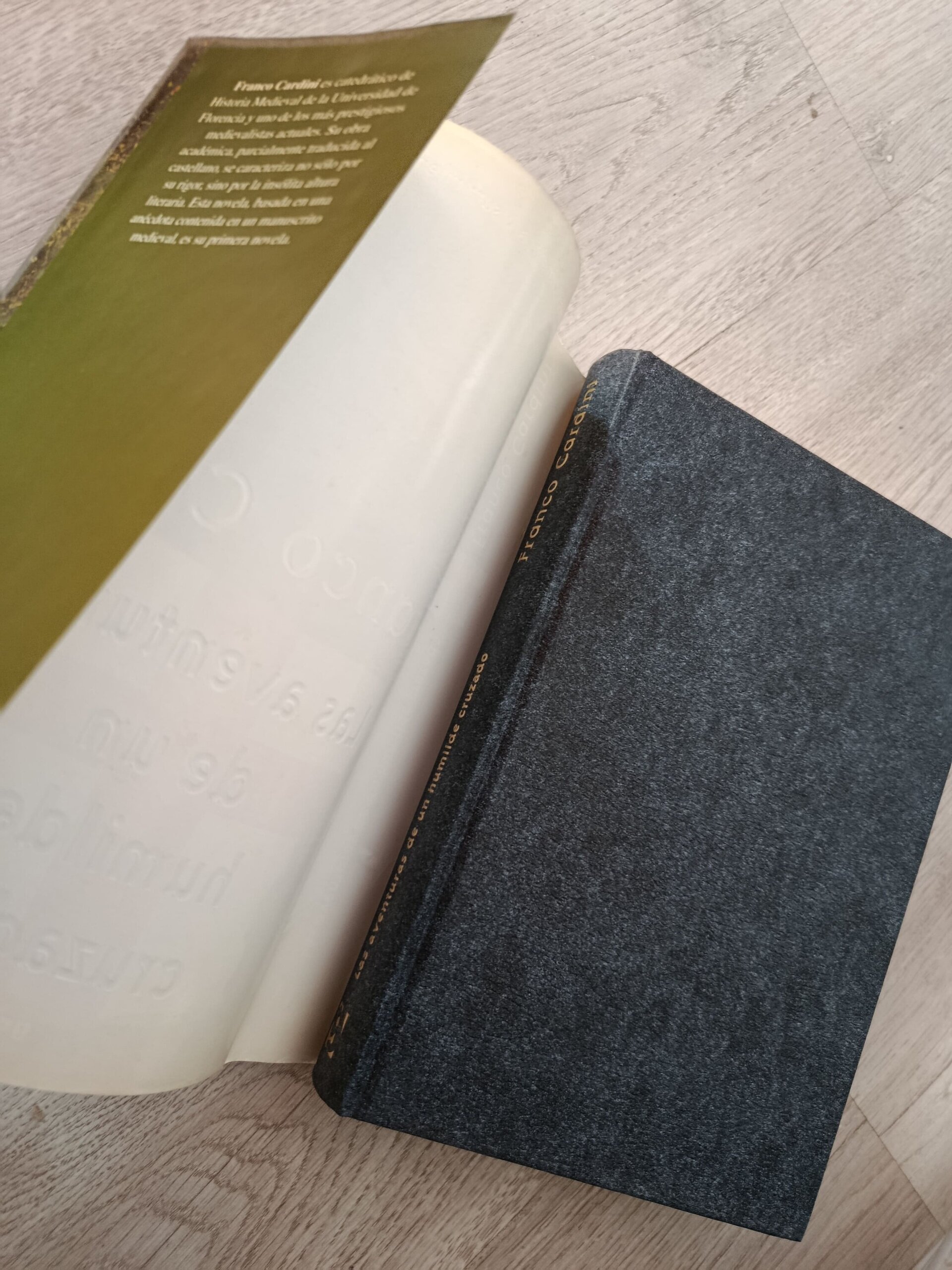 Las aventuras de un humilde cruzado - 5