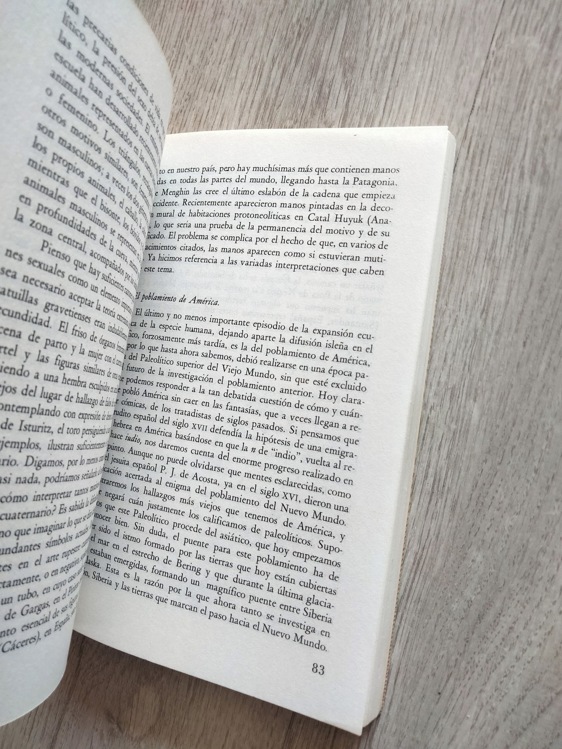 Humanidad prehistórica - 6