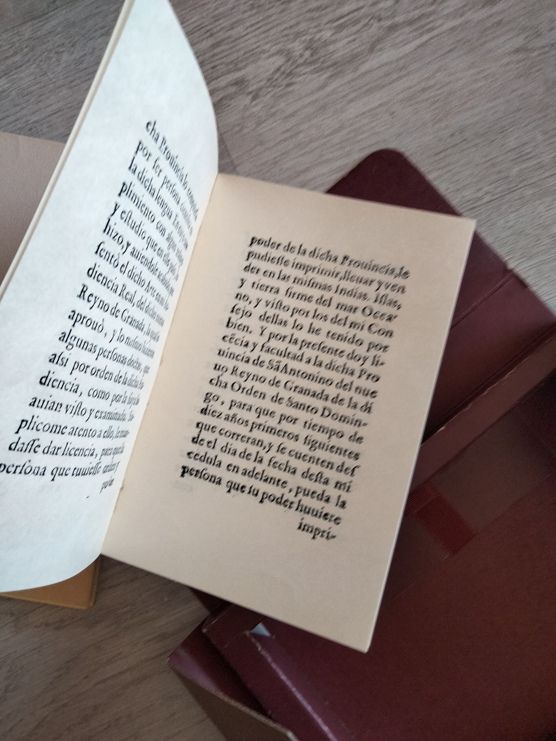 Resurrección de una lengua - 8