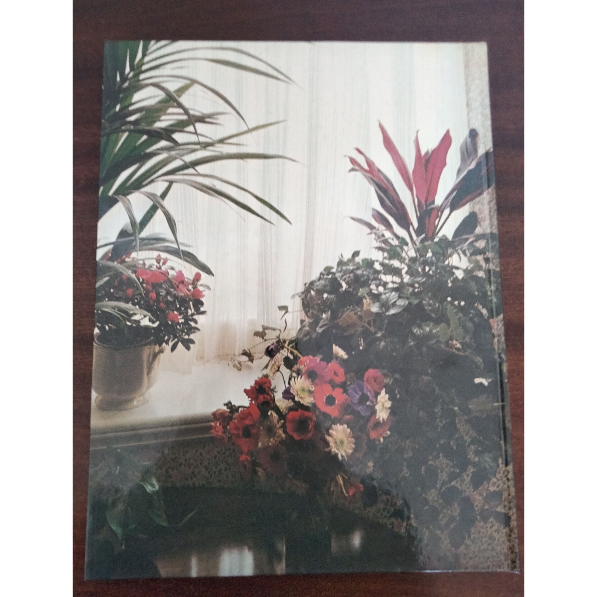 Flores y plantas en casa - 2