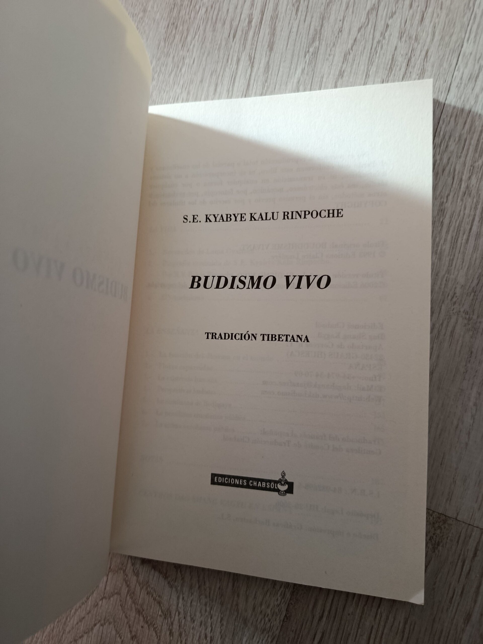 Budismo vivo-Tradición tibetana - 5