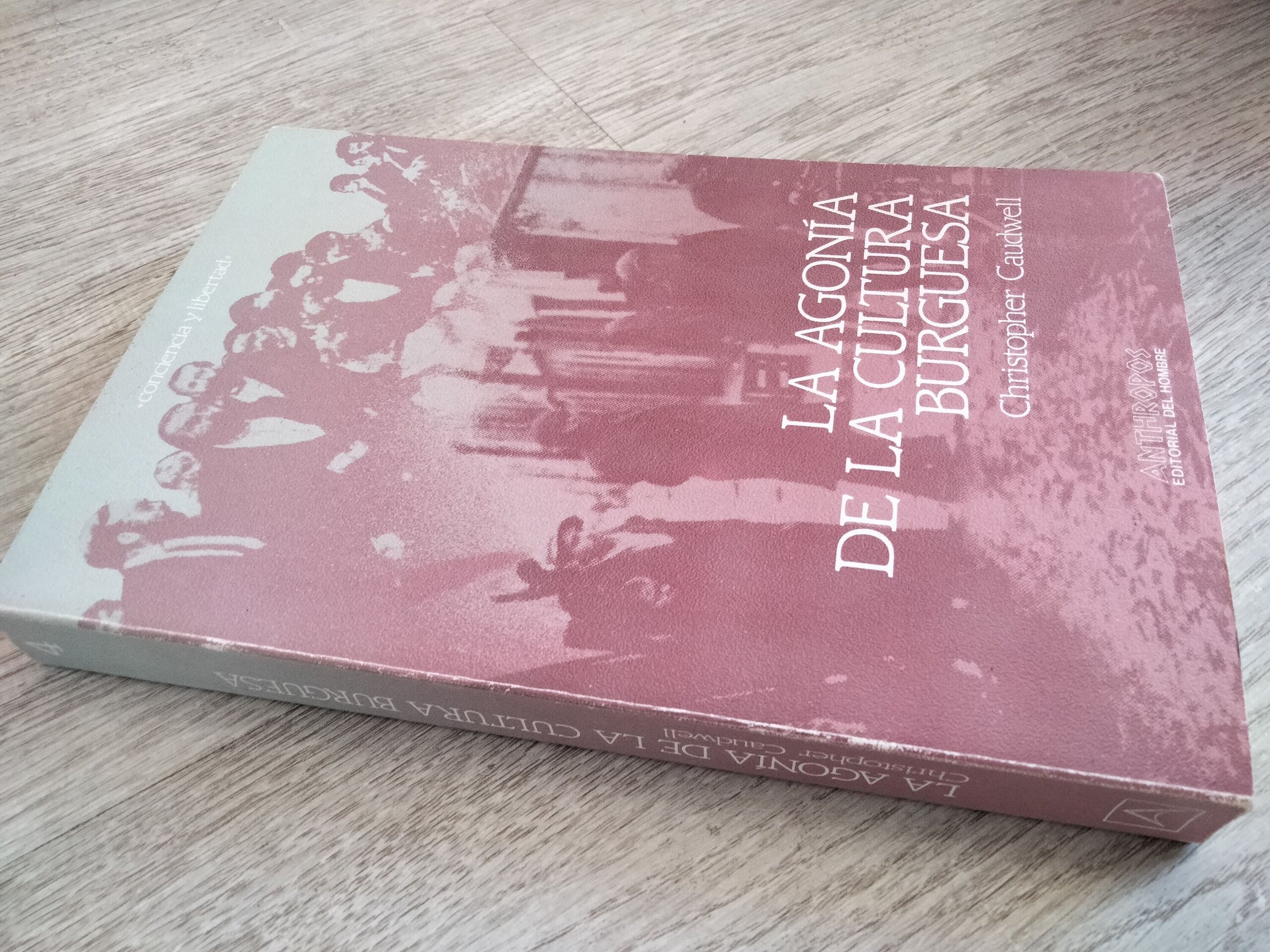 La agonía de la cultura burguesa - 2