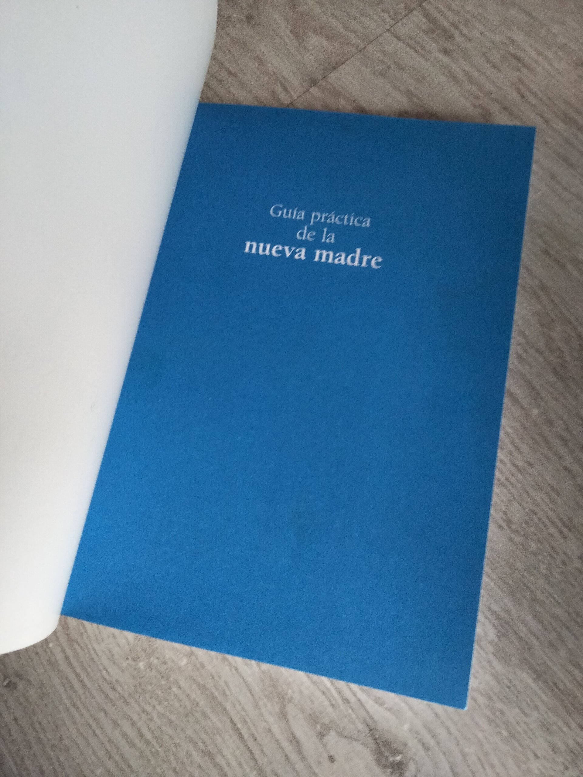 Guía práctica de la nueva madre - 5