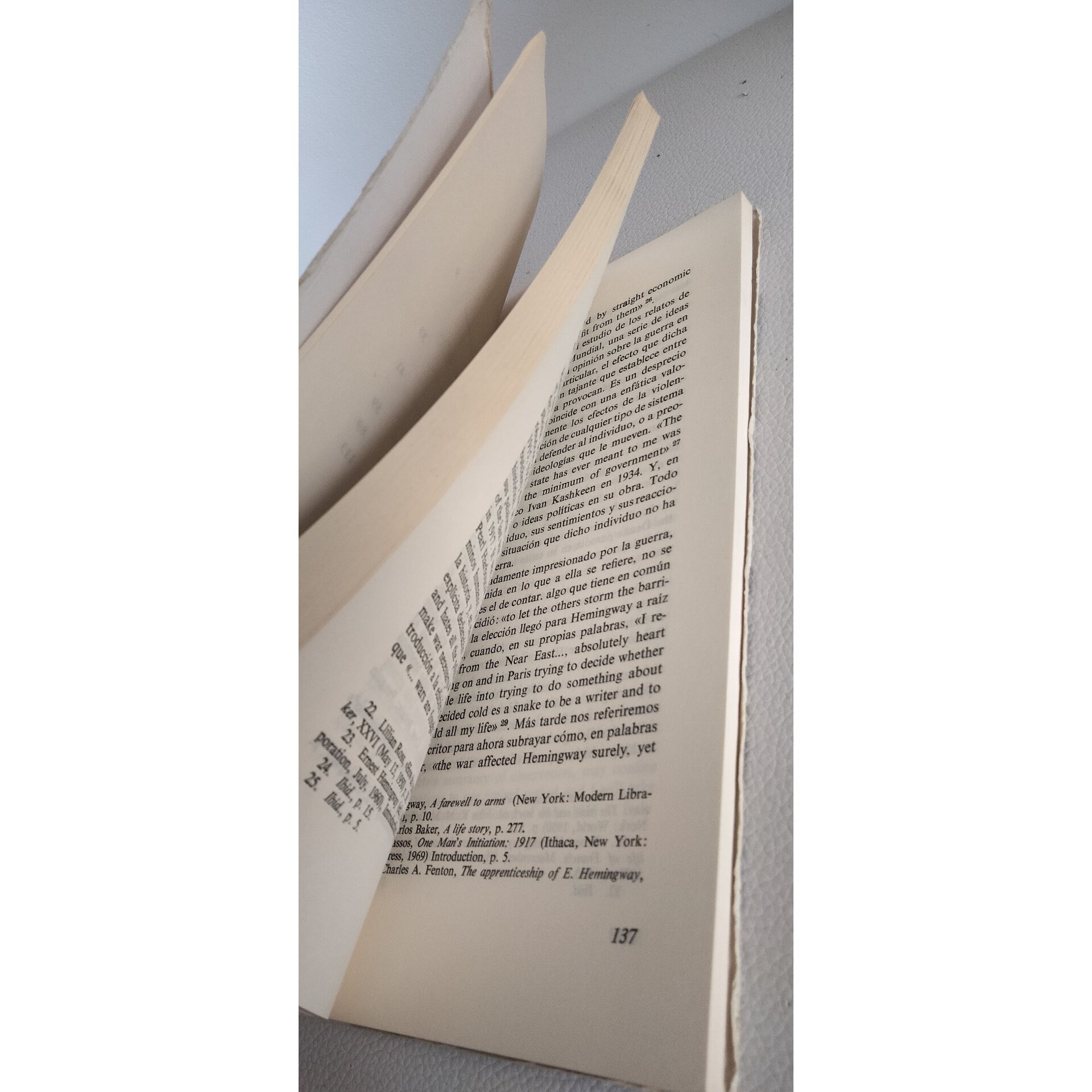 La gran guerra en la obra de Hemingway - 8