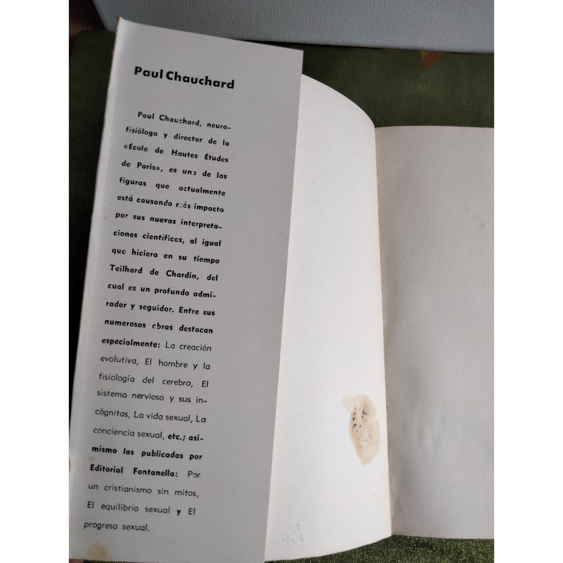 La creación evolutiva - 4