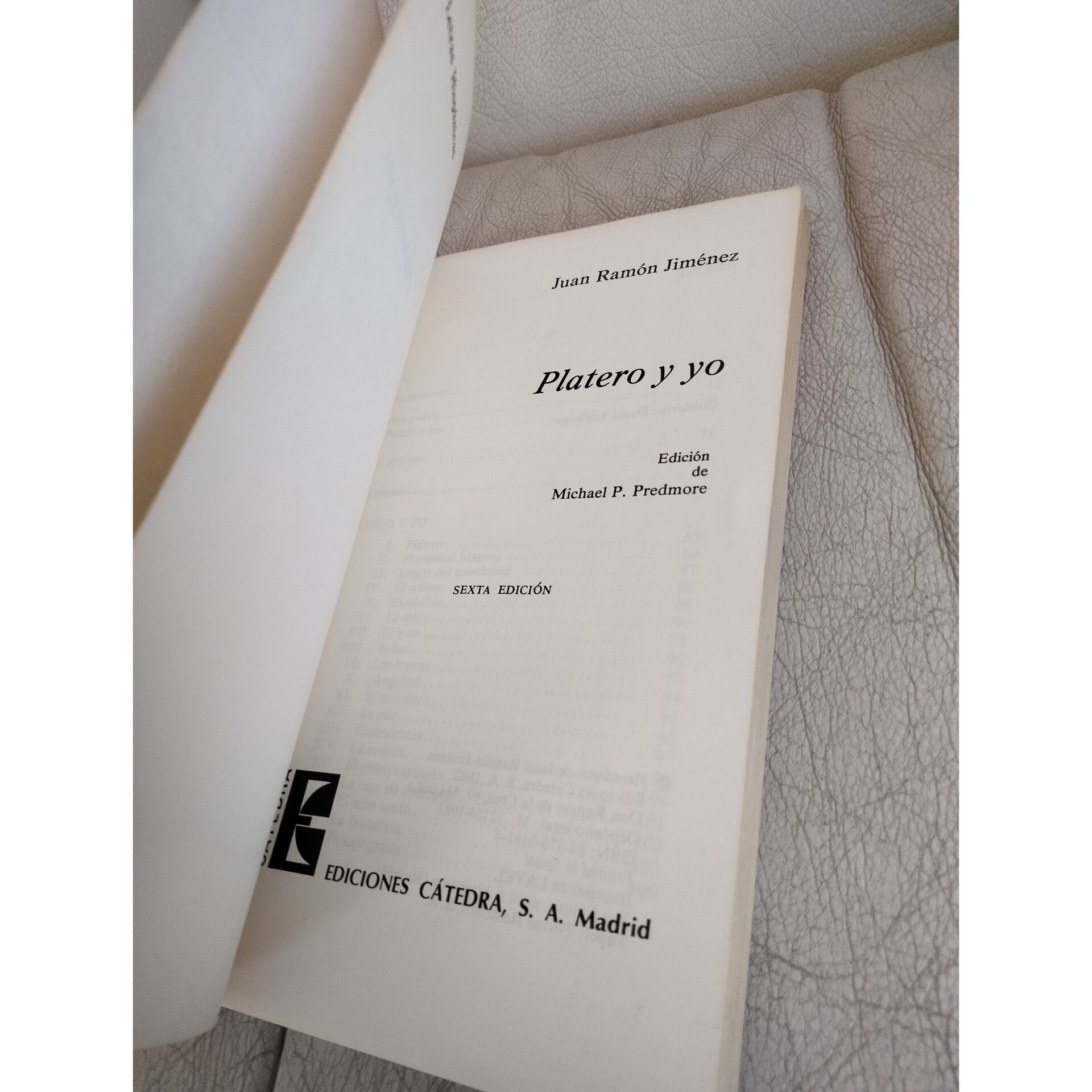 Platero y Yo - 4