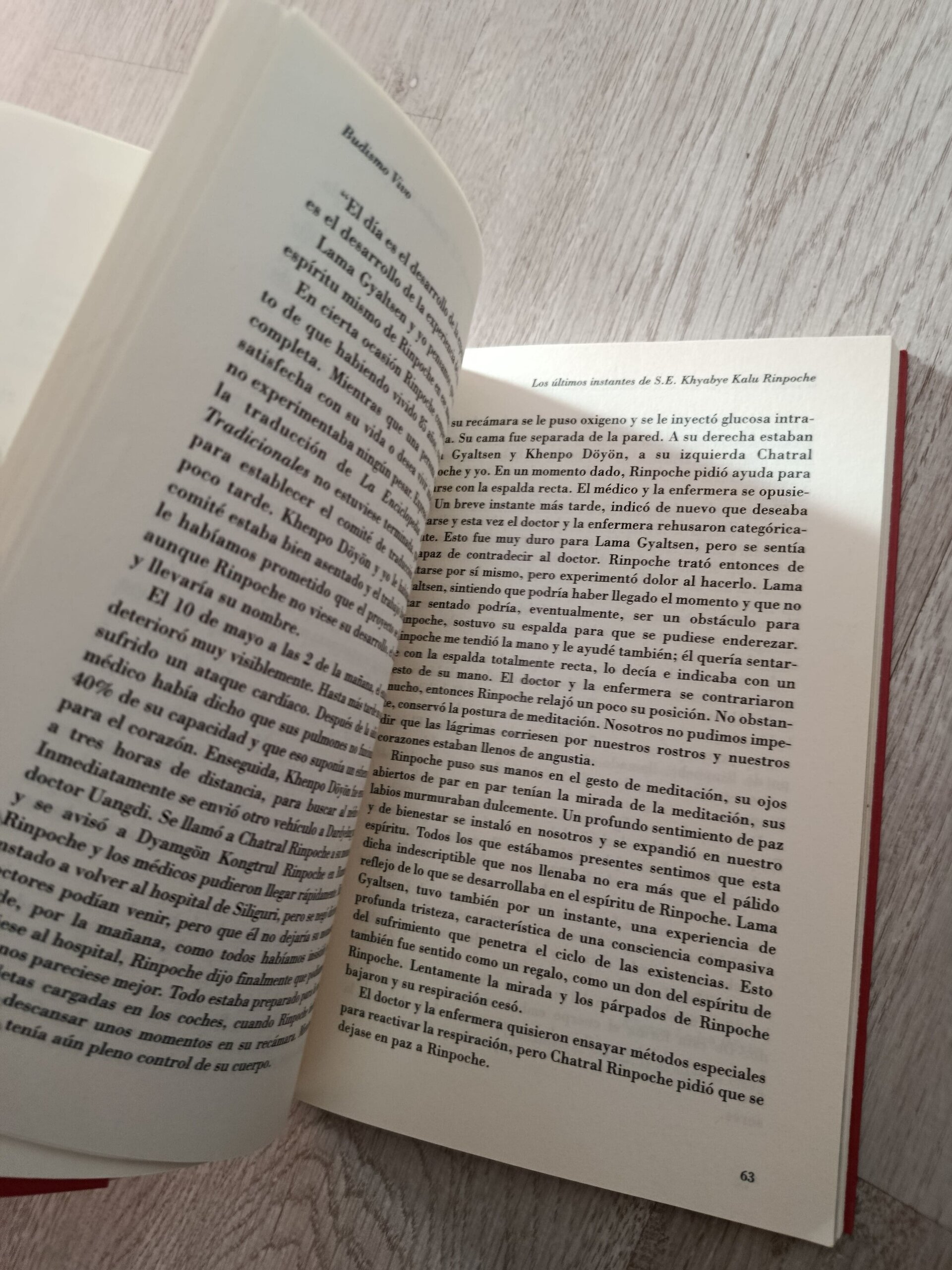 Budismo vivo-Tradición tibetana - 8