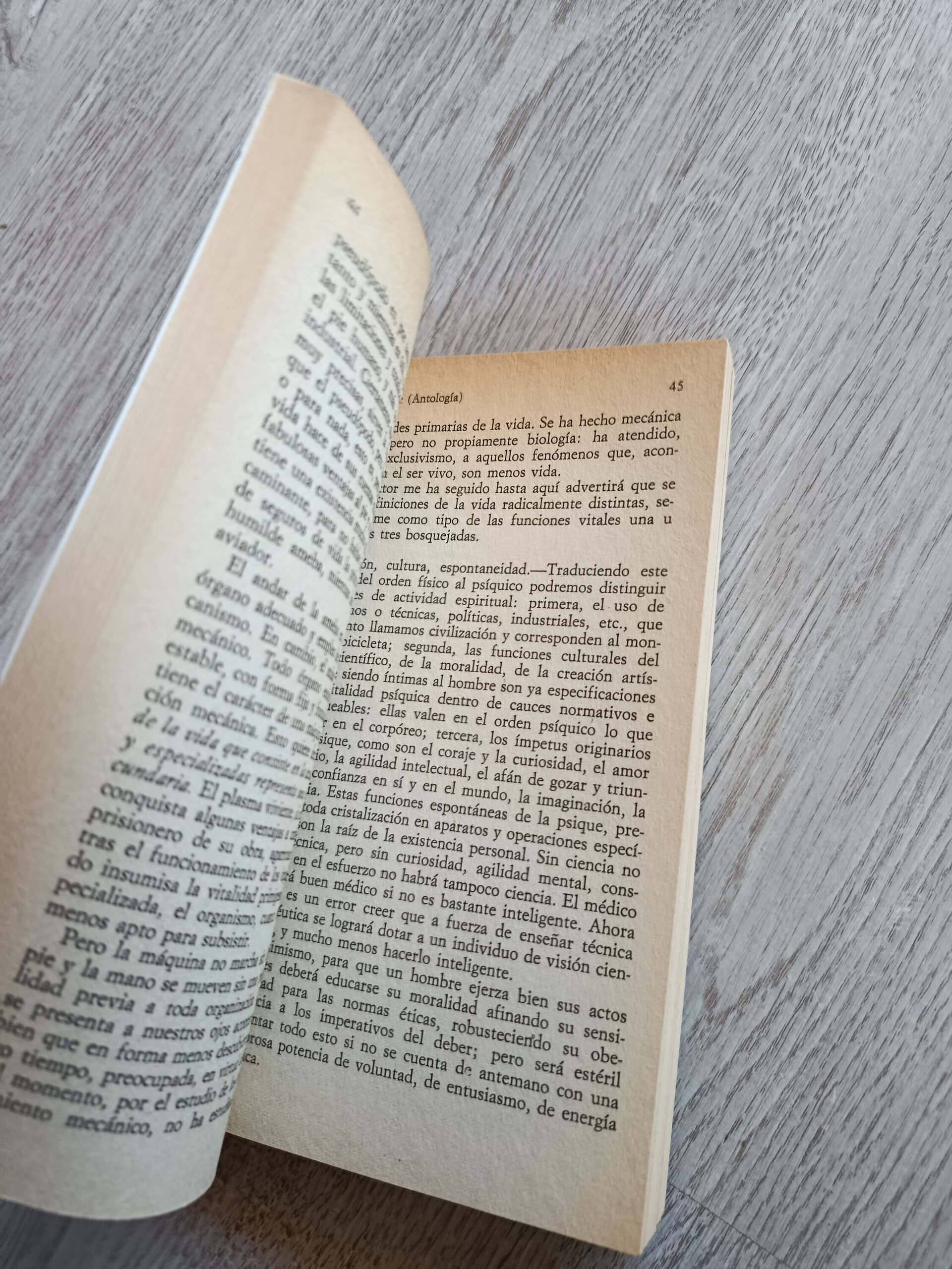 Ortega y Gasset - El Espectador - 3