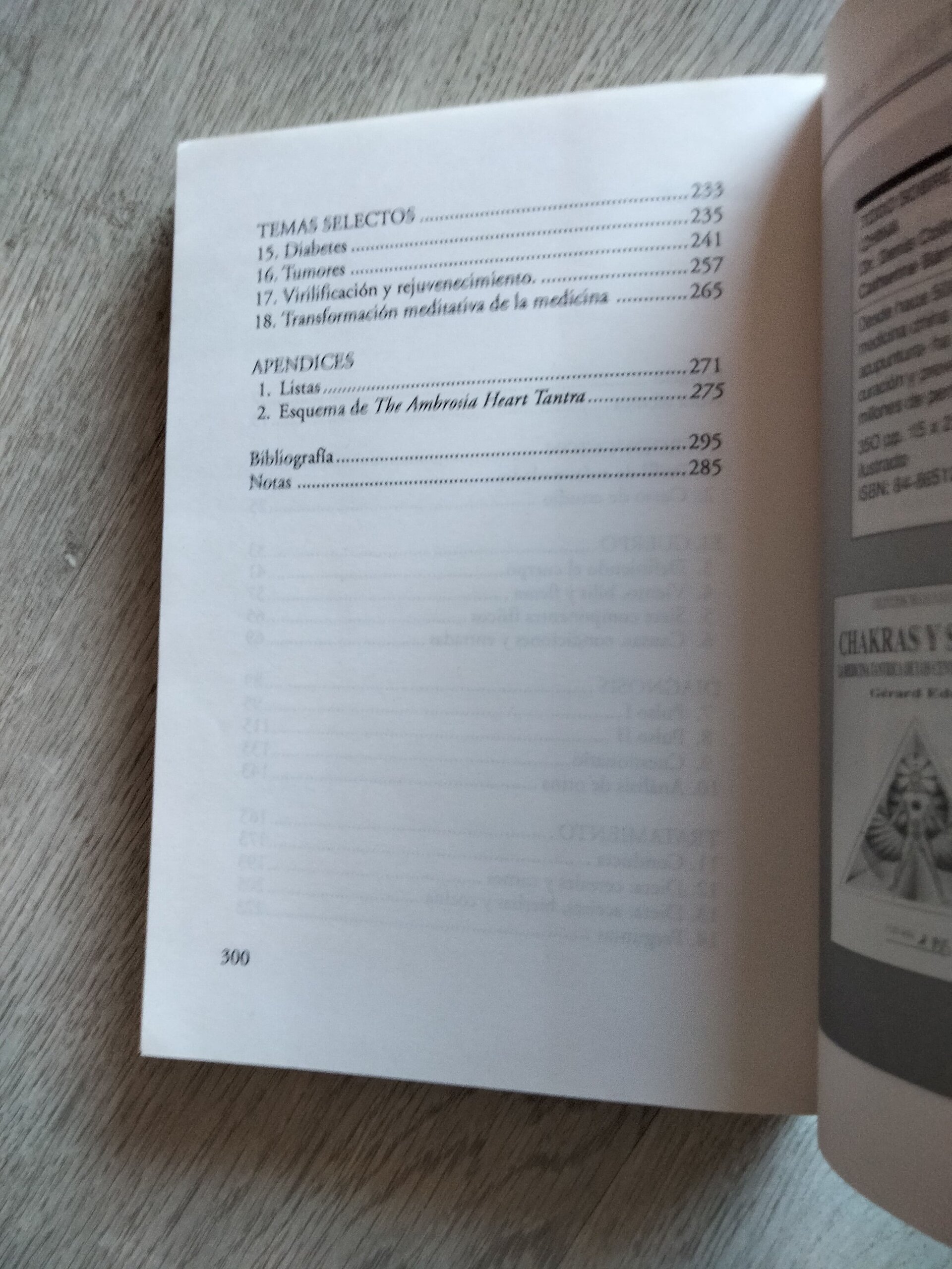 Introducción a la medicina tibetana - 5