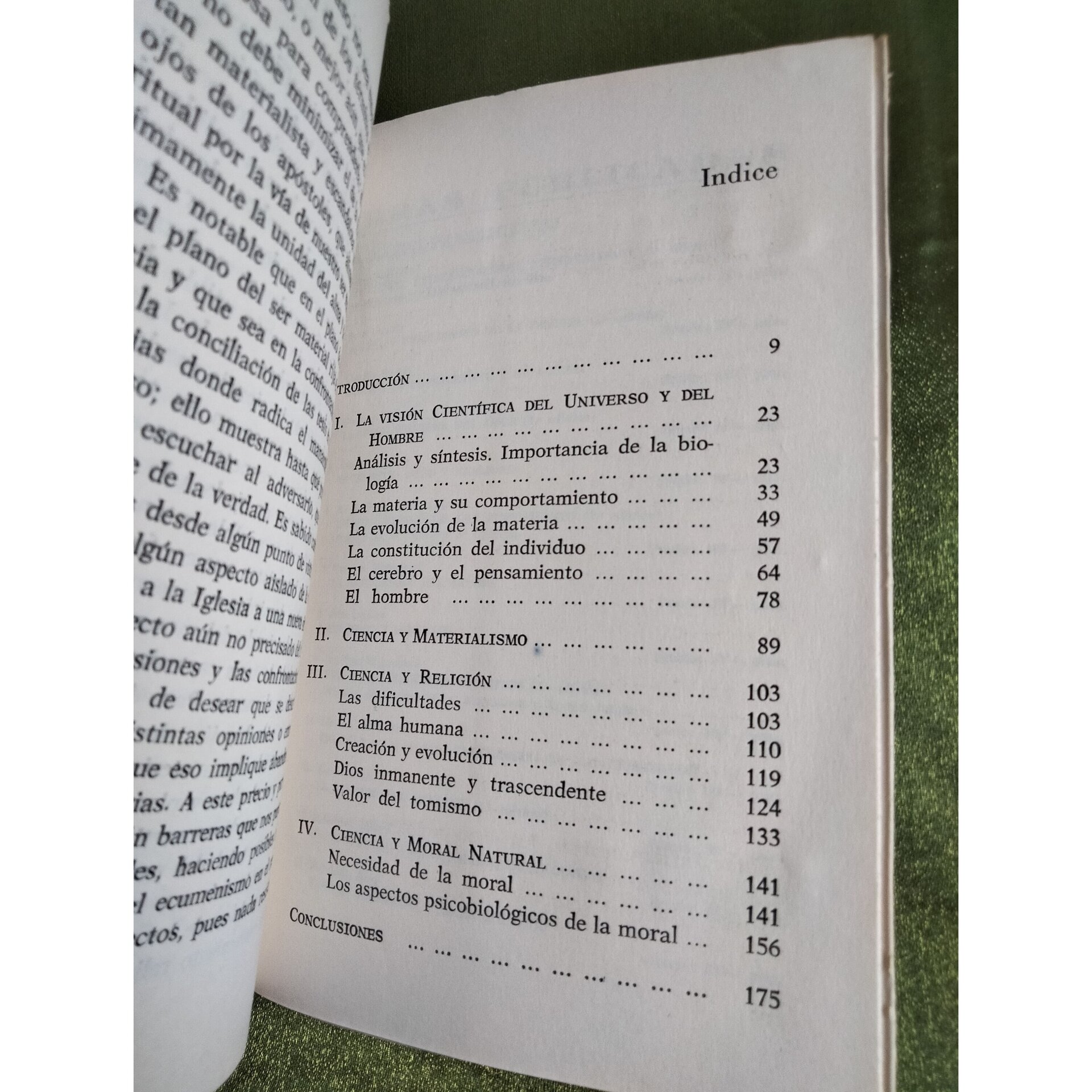 La creación evolutiva - 5