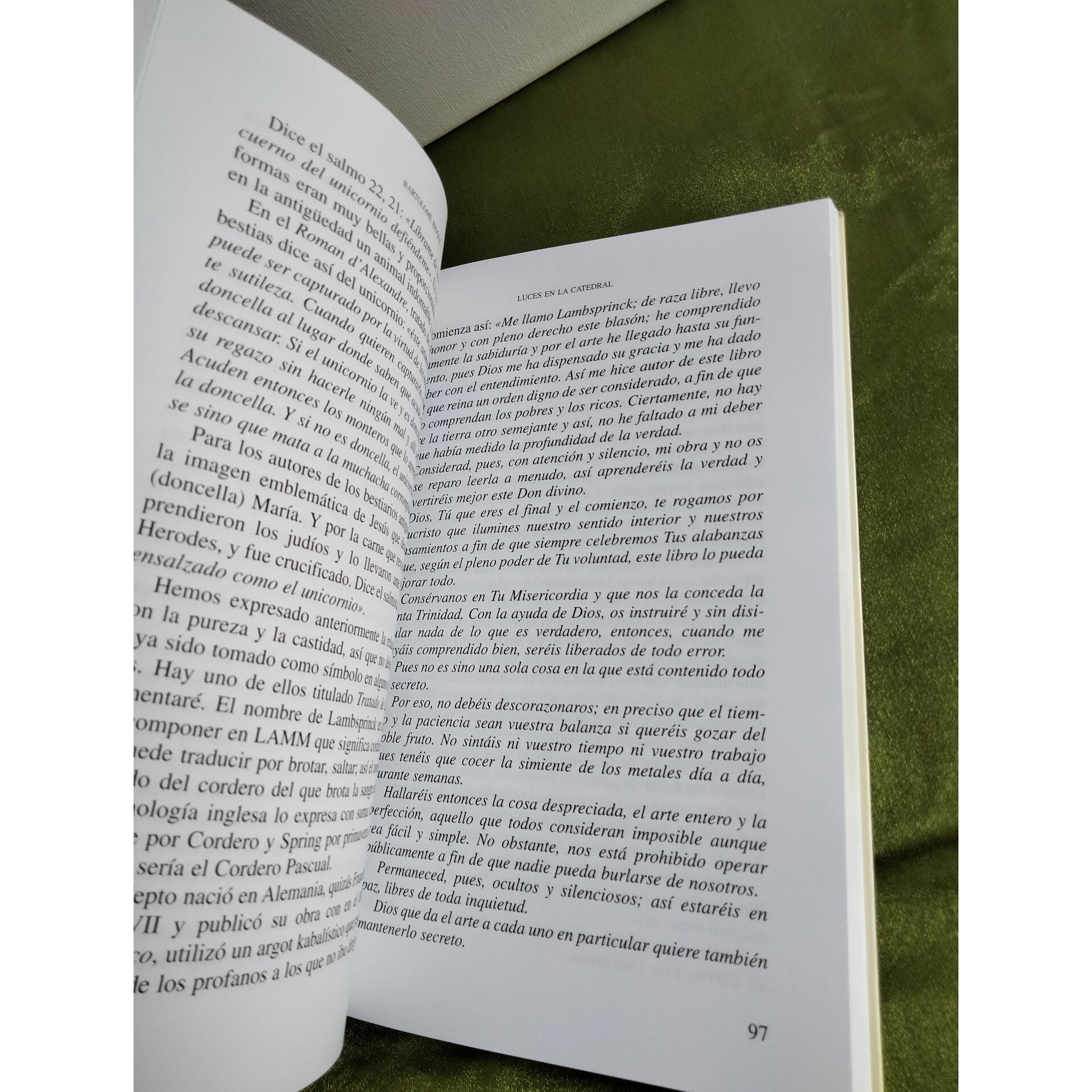 Luces en la Catedral - Bartolomé Bioque - 6