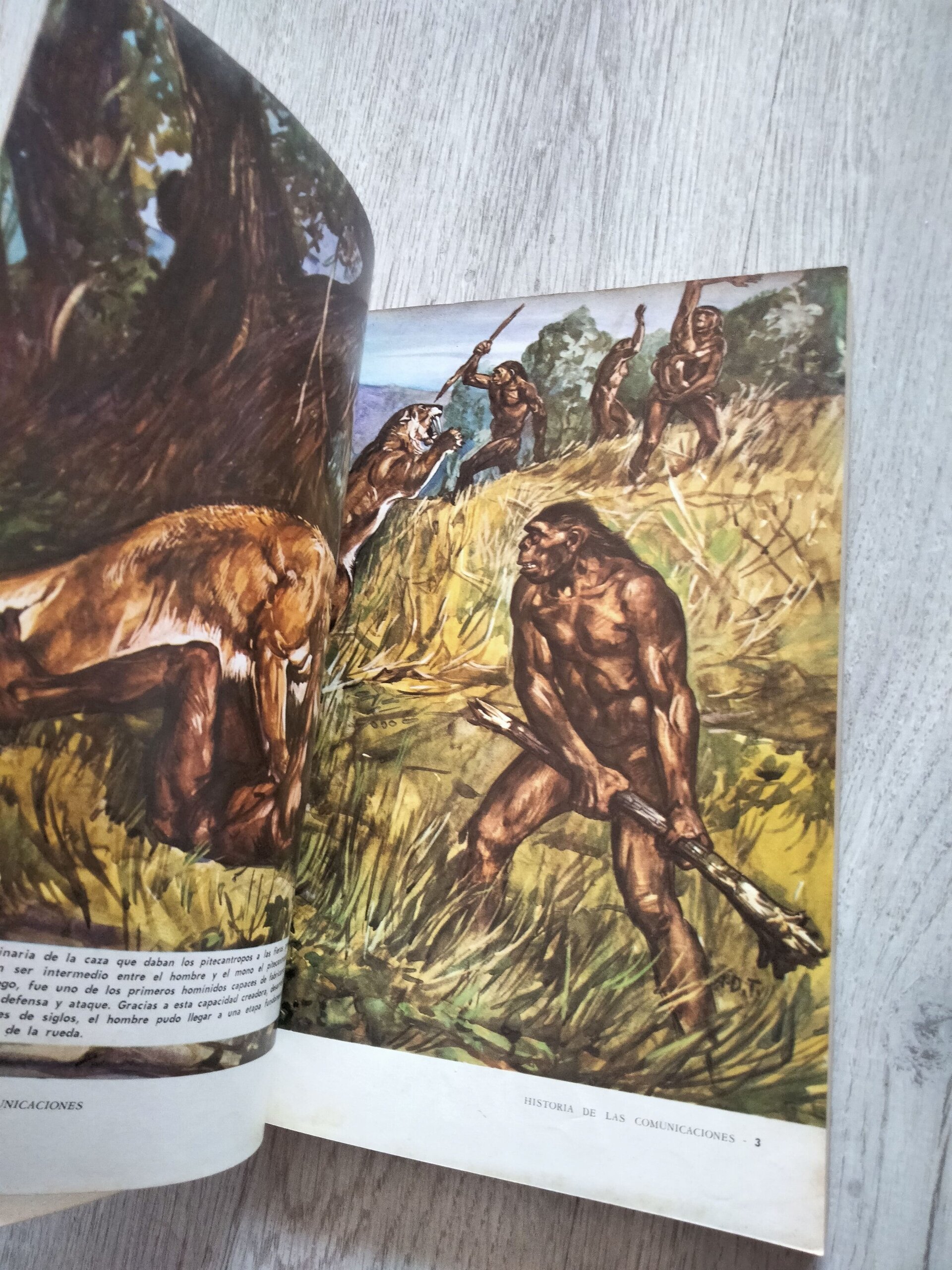 Historia de los Transportes Terrestres - 5