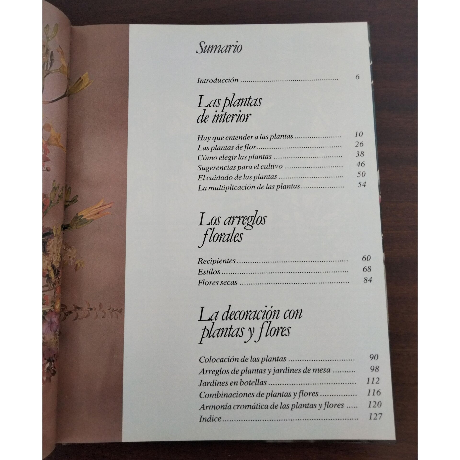 Flores y plantas en casa - 5