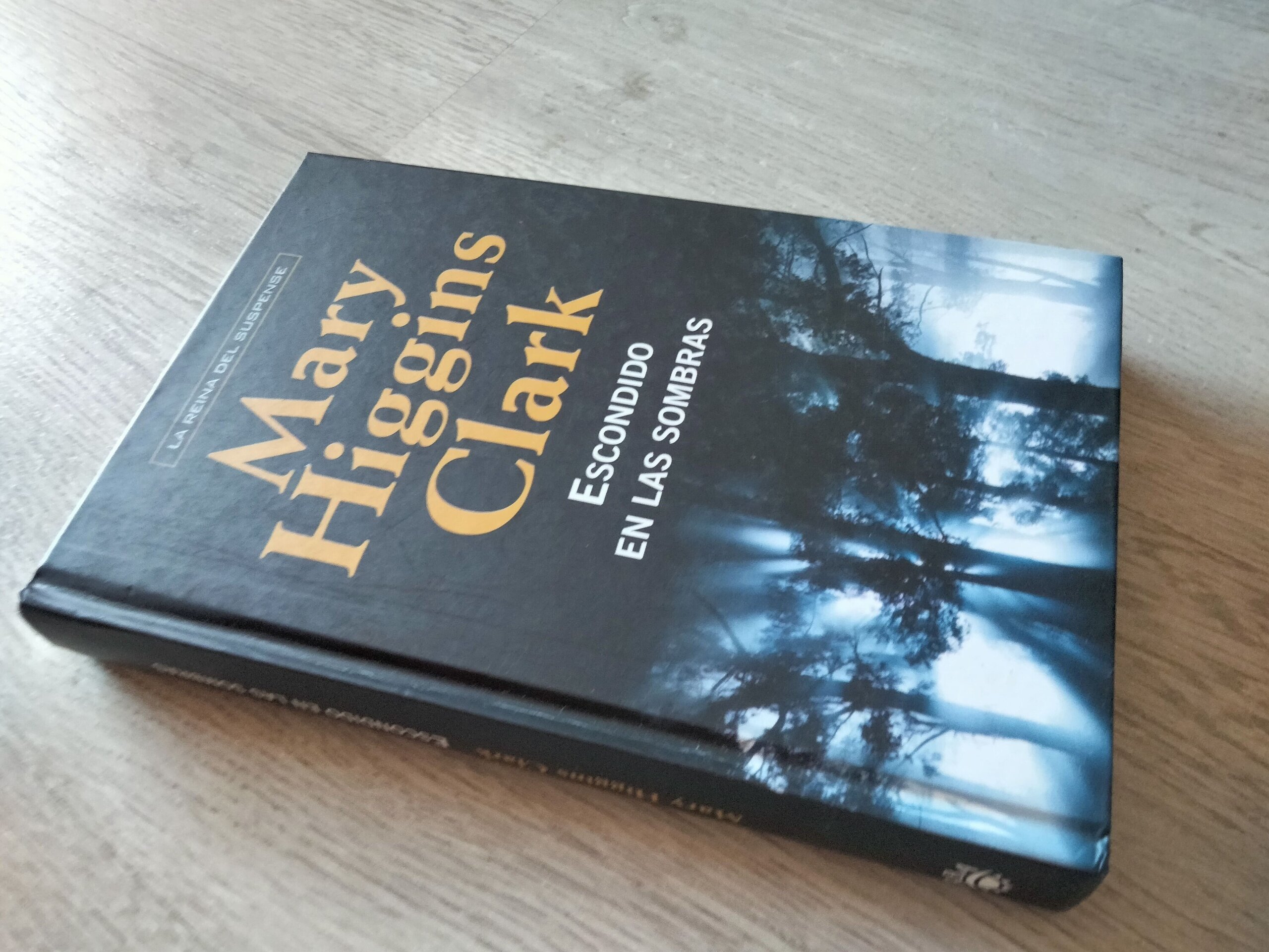 Escondido en las sombras - 2