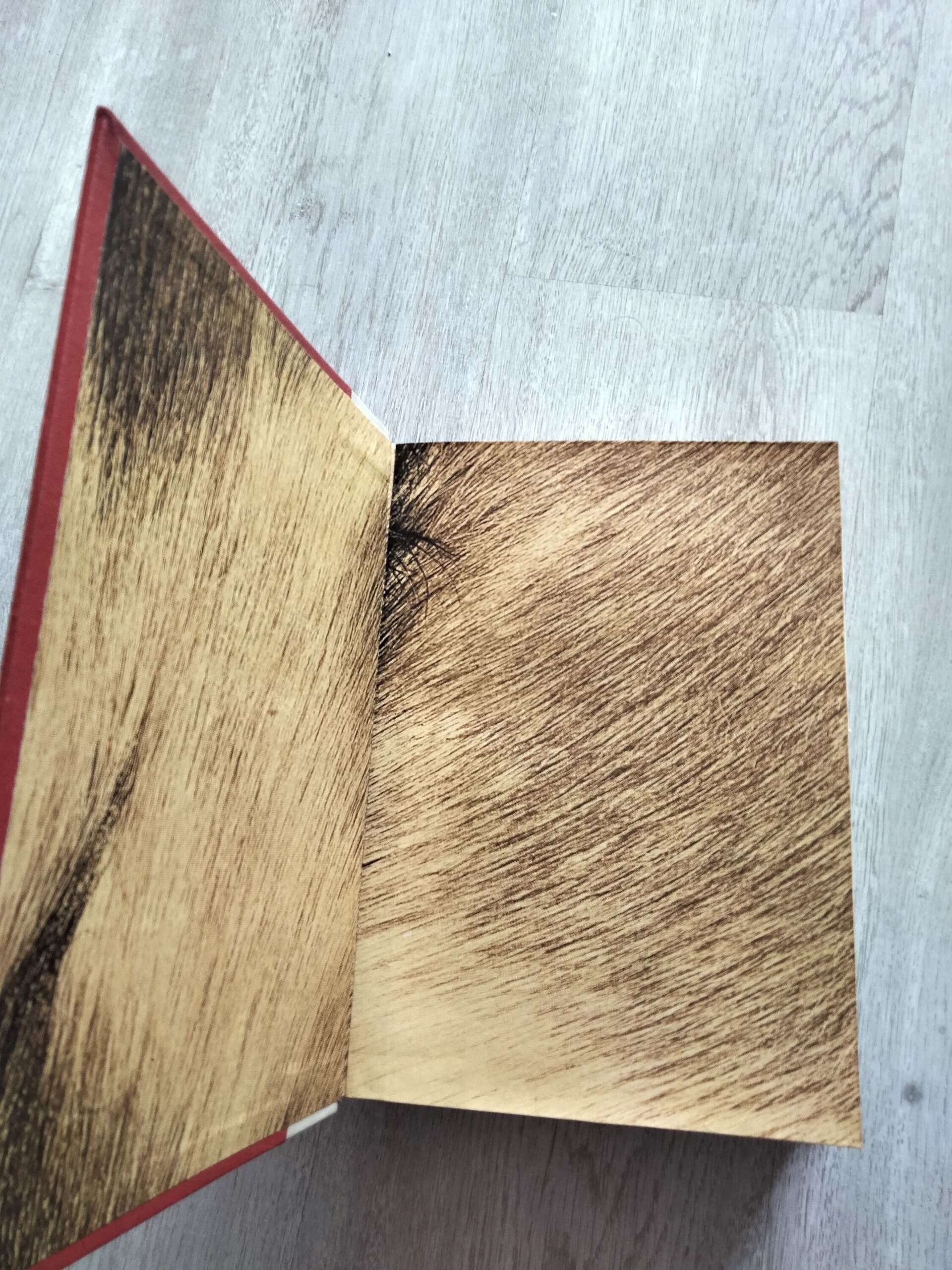 Historia Militar de la Guerra de España (1936-1939) - completo - 5