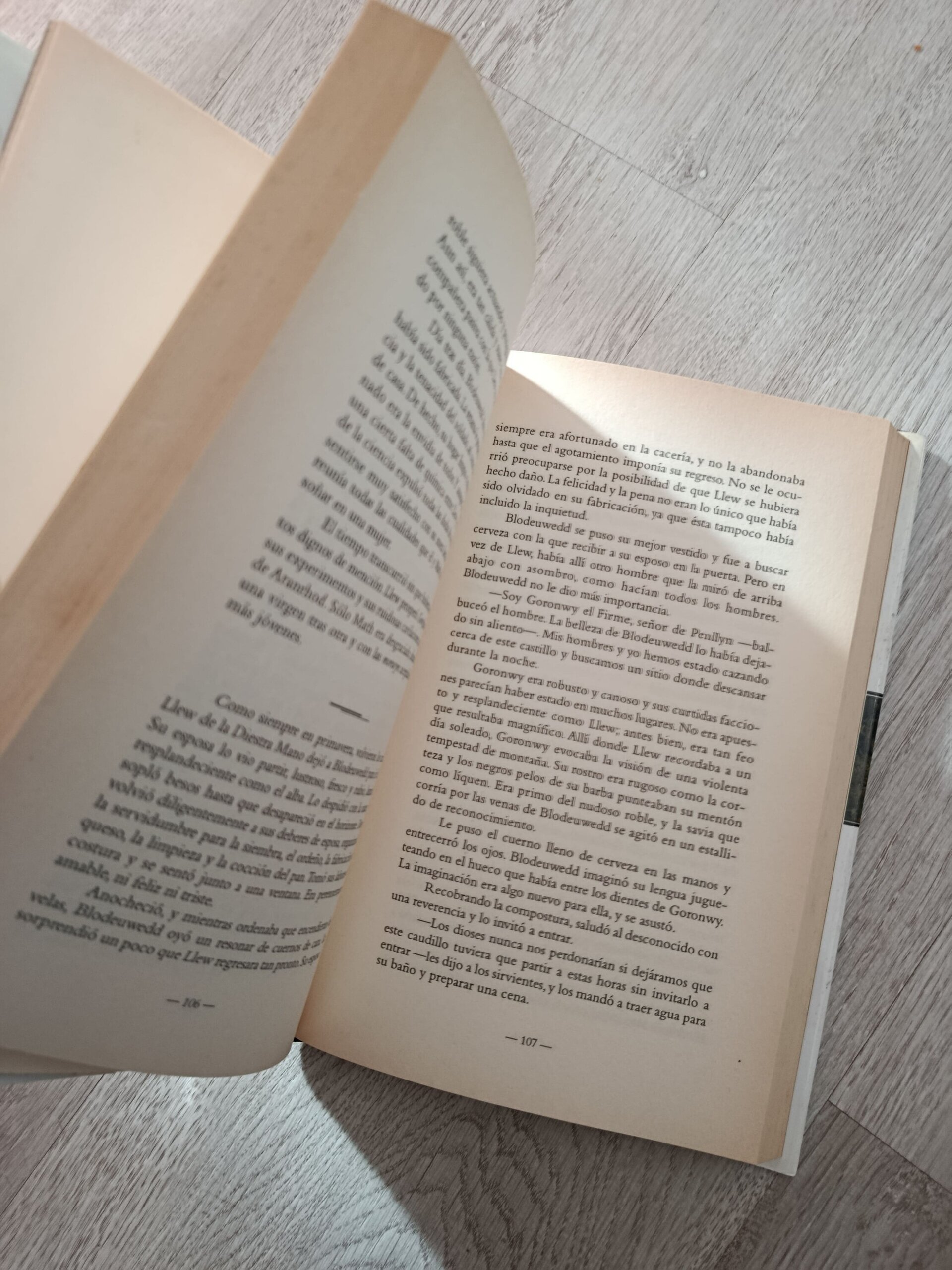 Diosas y Hadas - La magia de las mujeres celtas - libro - 9