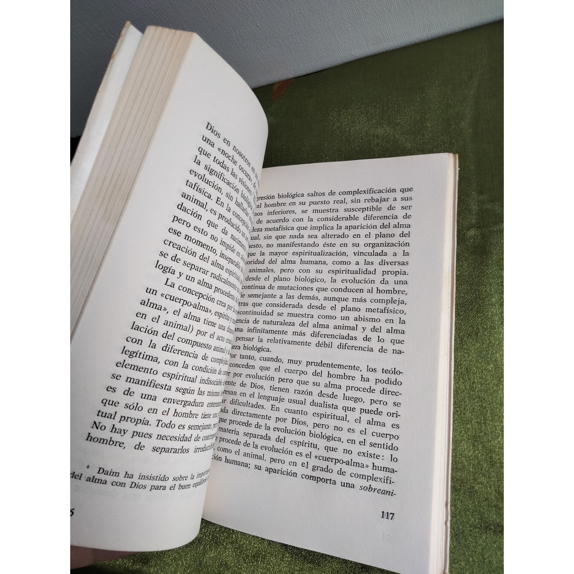 La creación evolutiva - 6