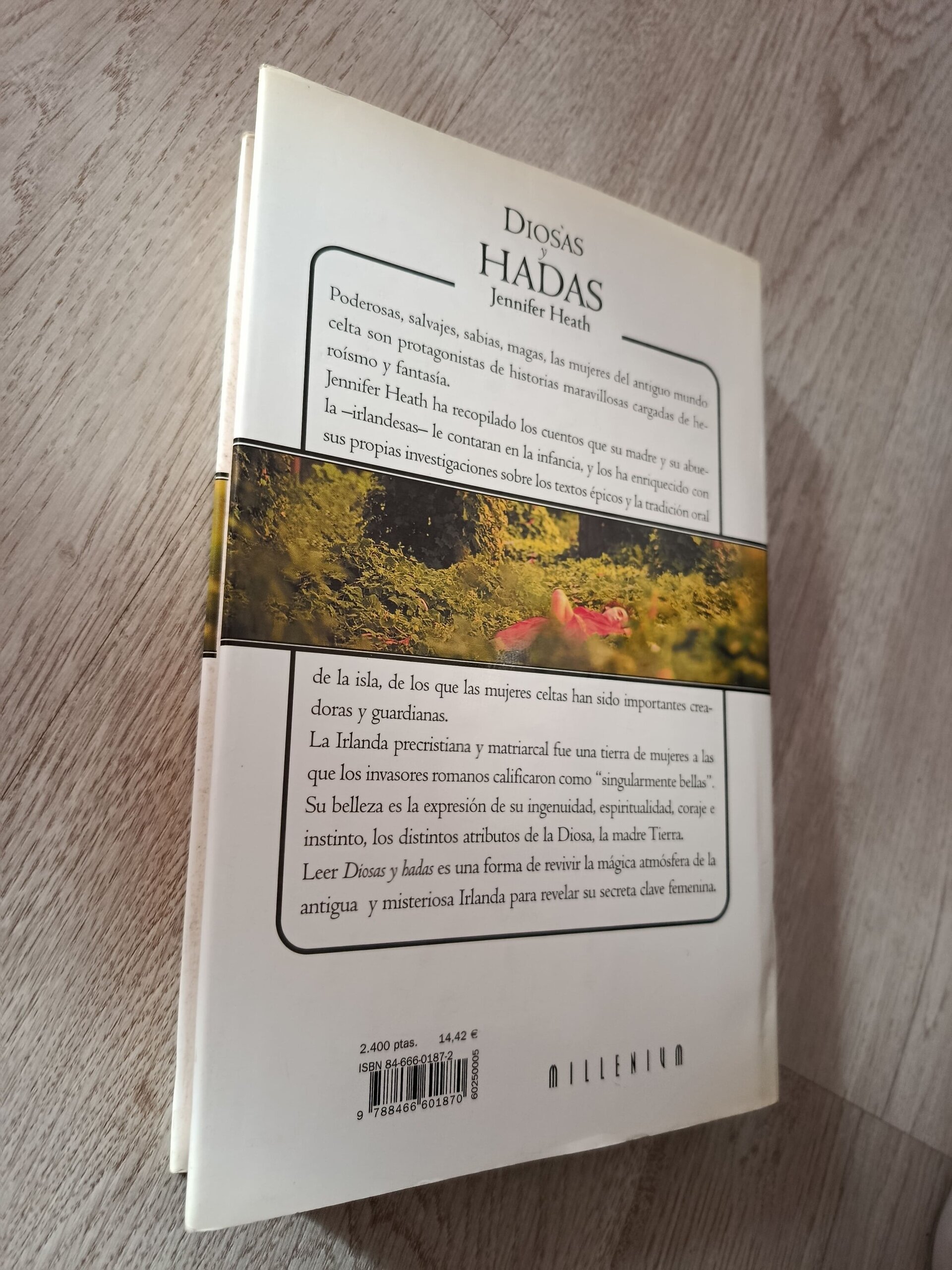 Diosas y Hadas - La magia de las mujeres celtas - libro - 4