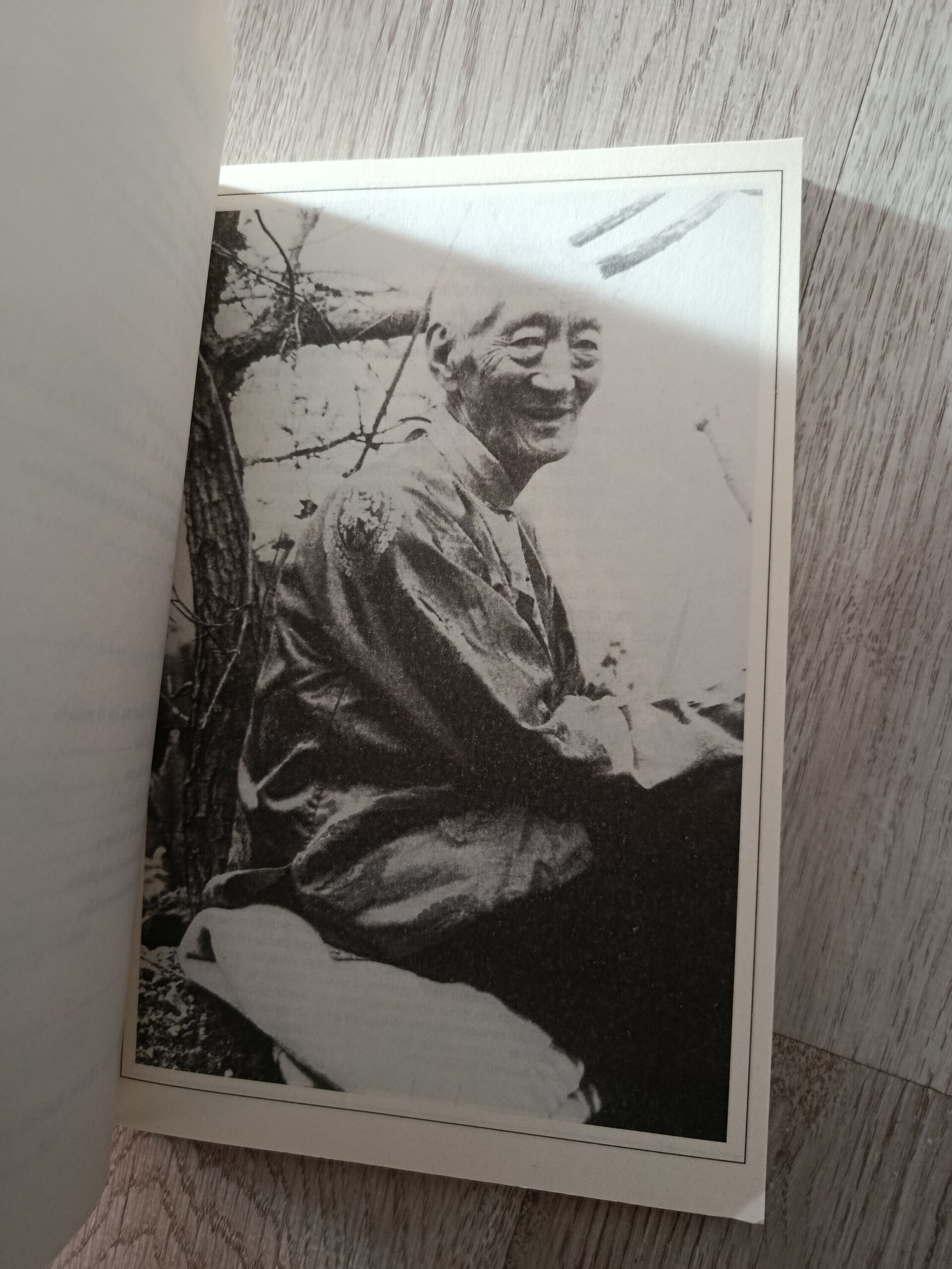 Budismo vivo-Tradición tibetana - 7