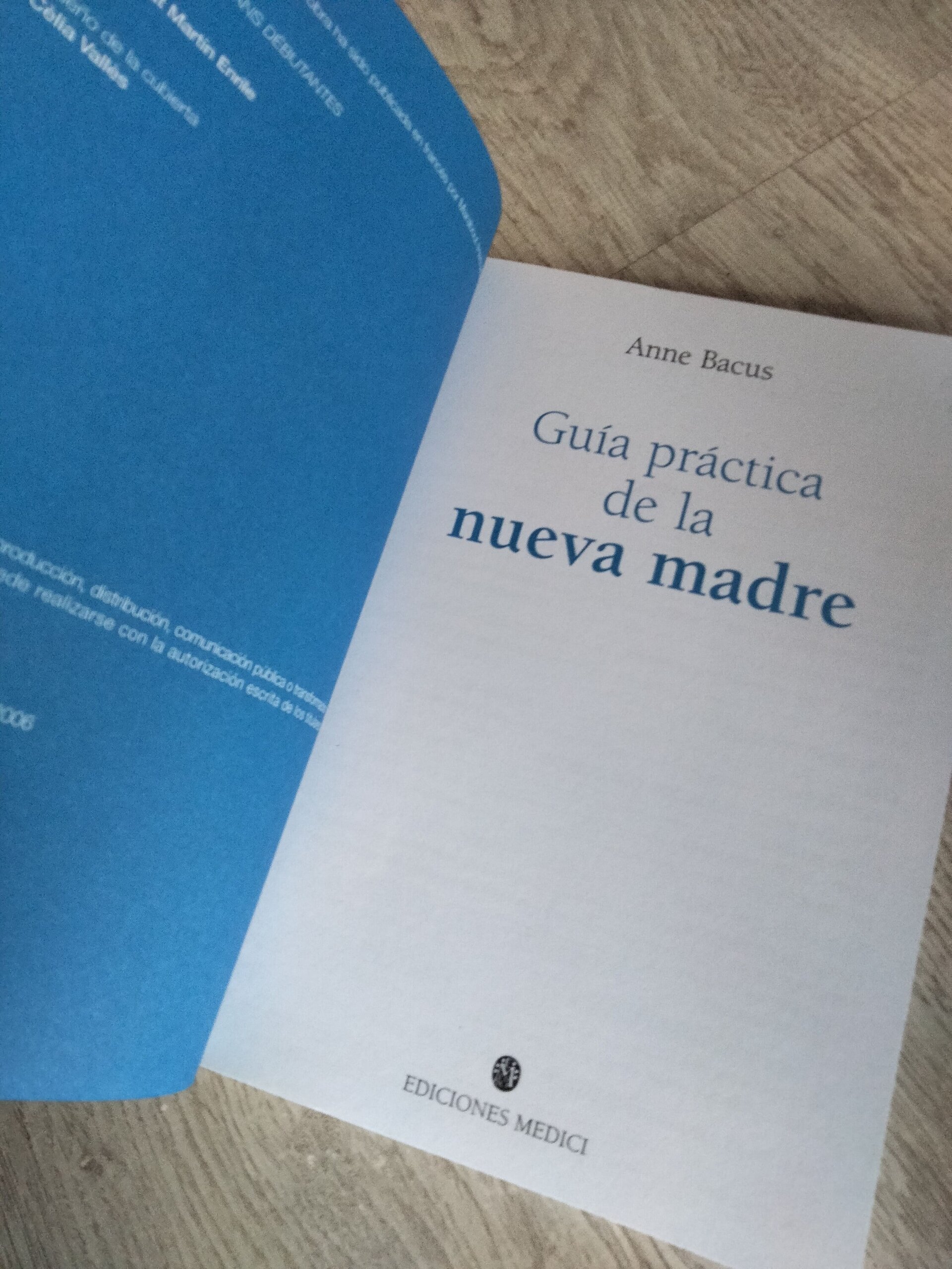 Guía práctica de la nueva madre - 4