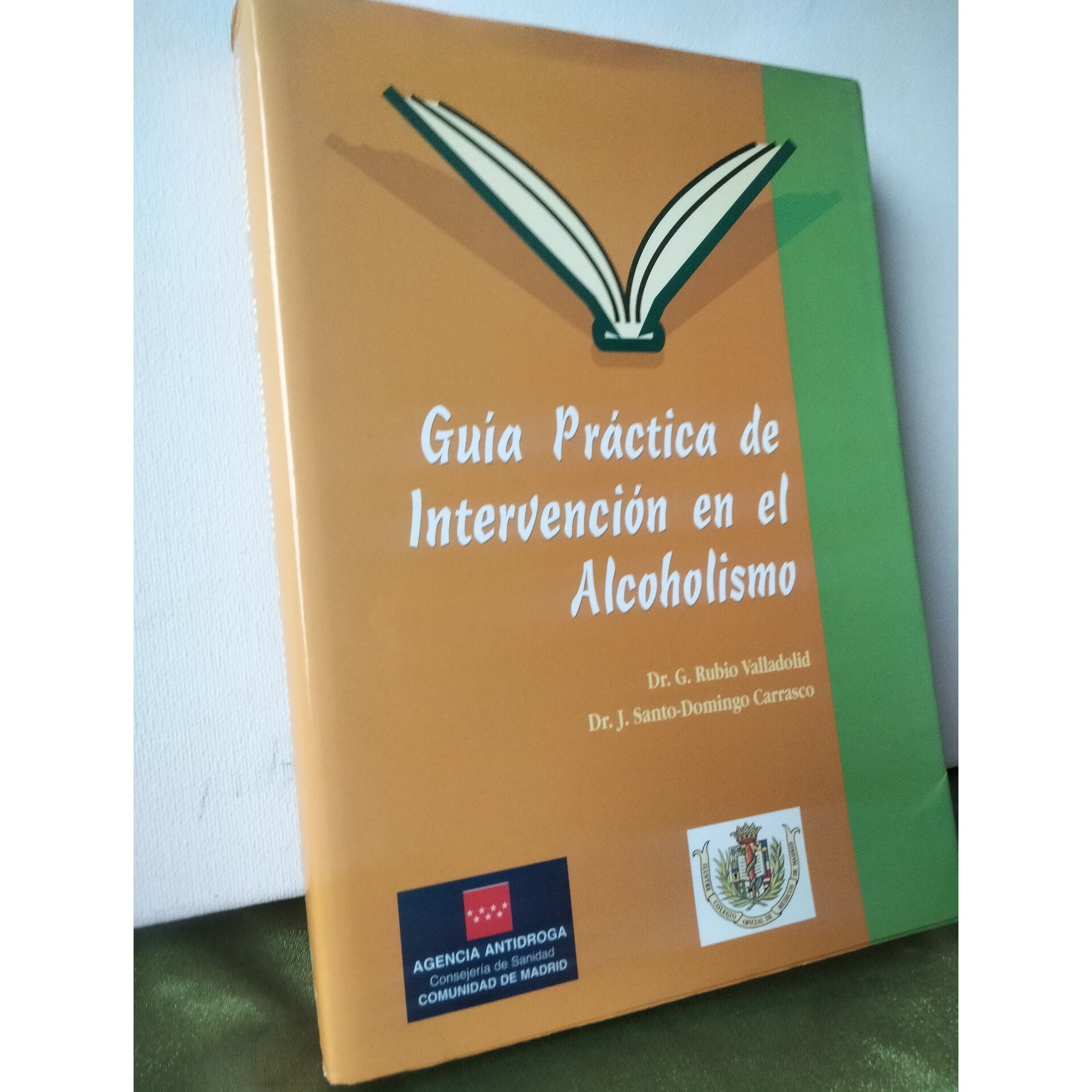 Guía práctica de intervención en el alcoholismo - 2