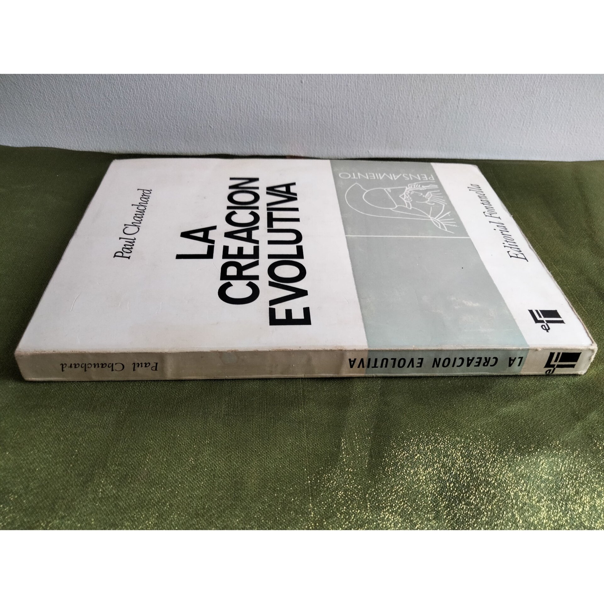 La creación evolutiva - 2