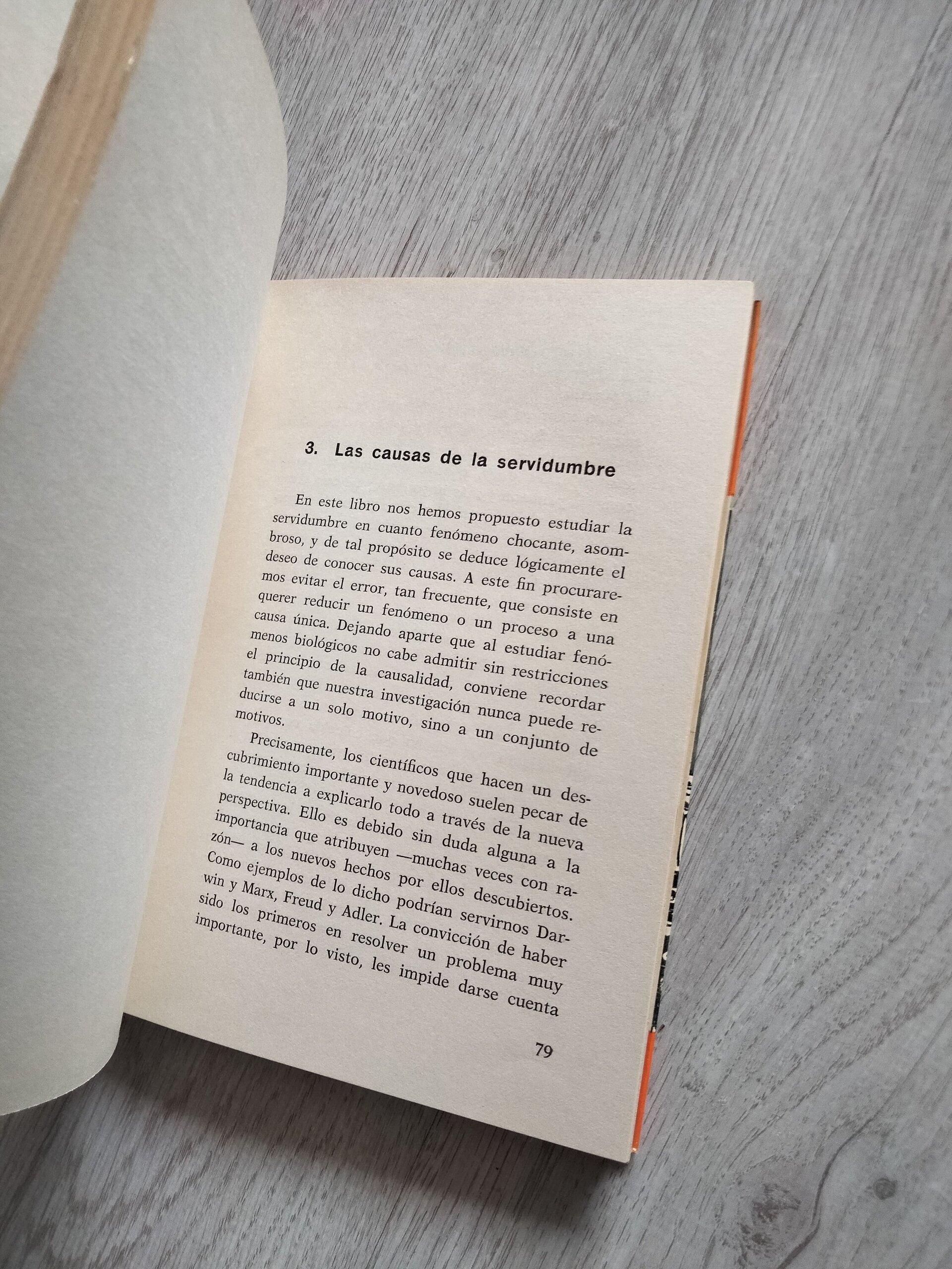 La servidumbre sexual masculina - 6