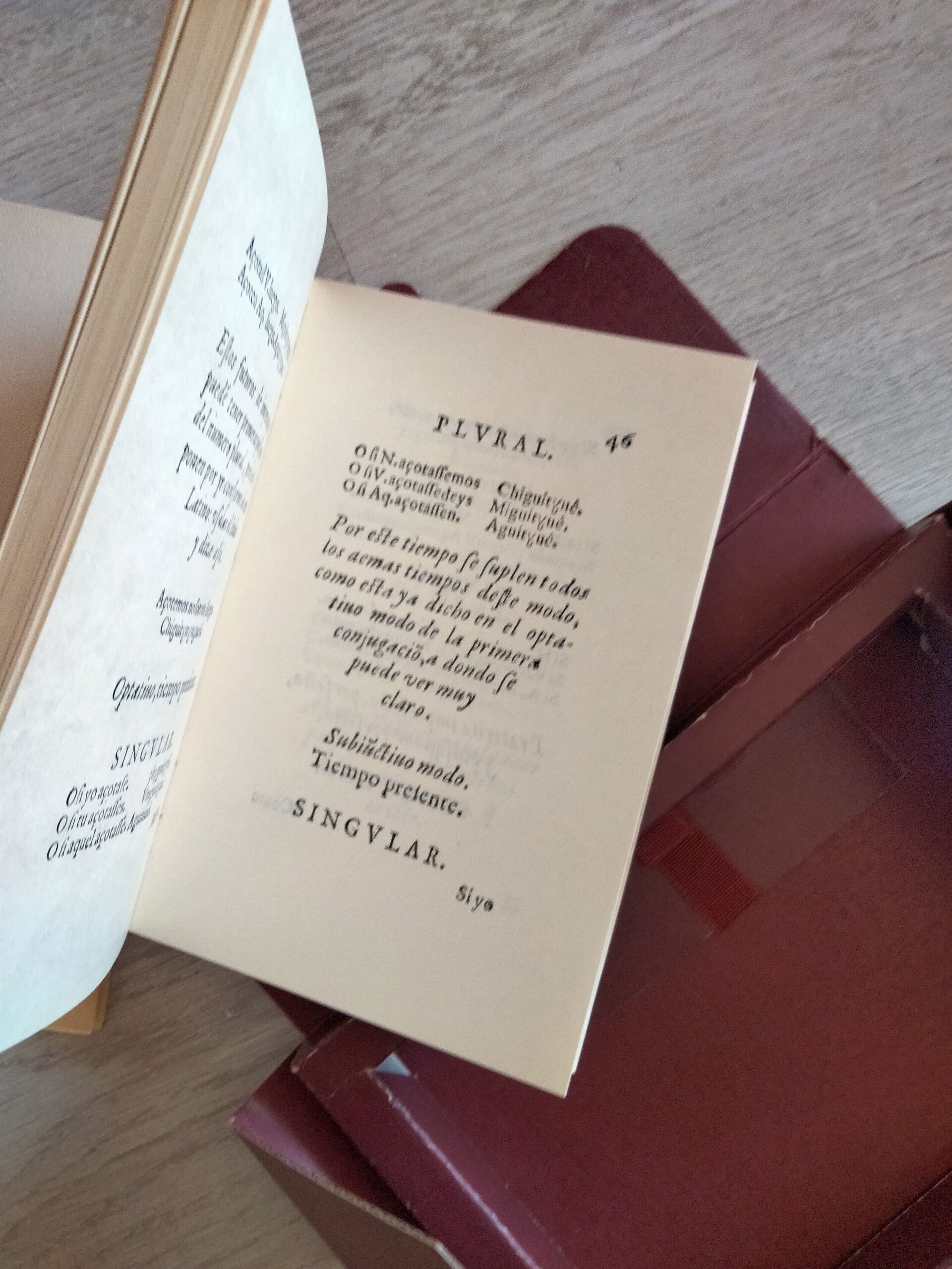 Resurrección de una lengua - 9