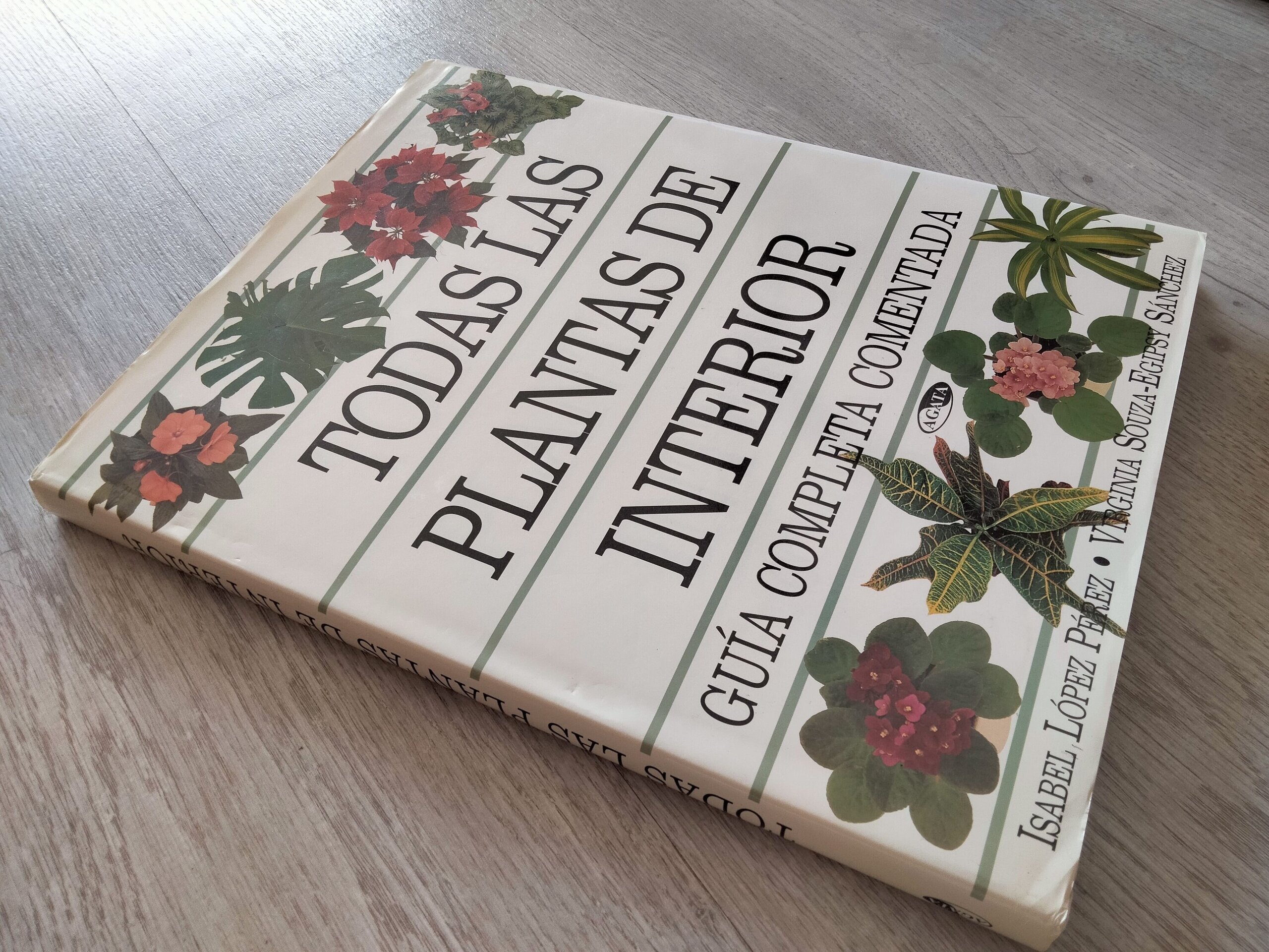 Todas las plantas de interior - 3