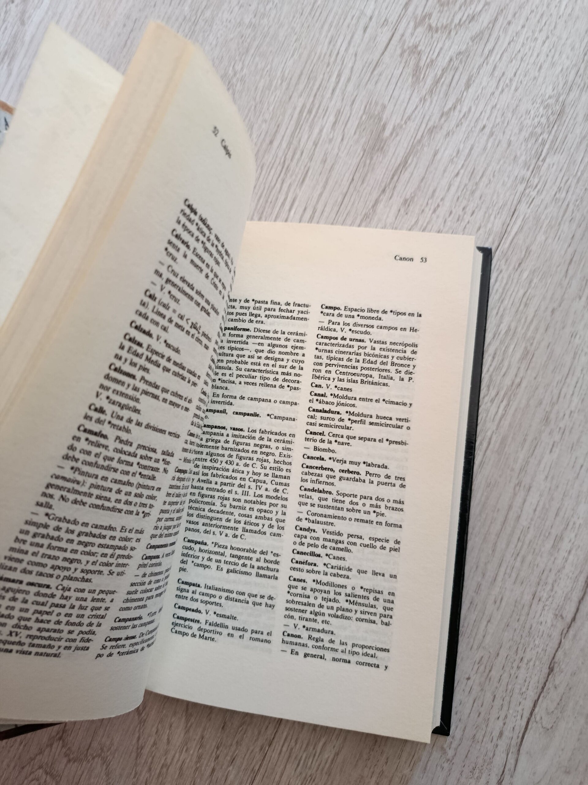 Diccionario de términos de arte - 6