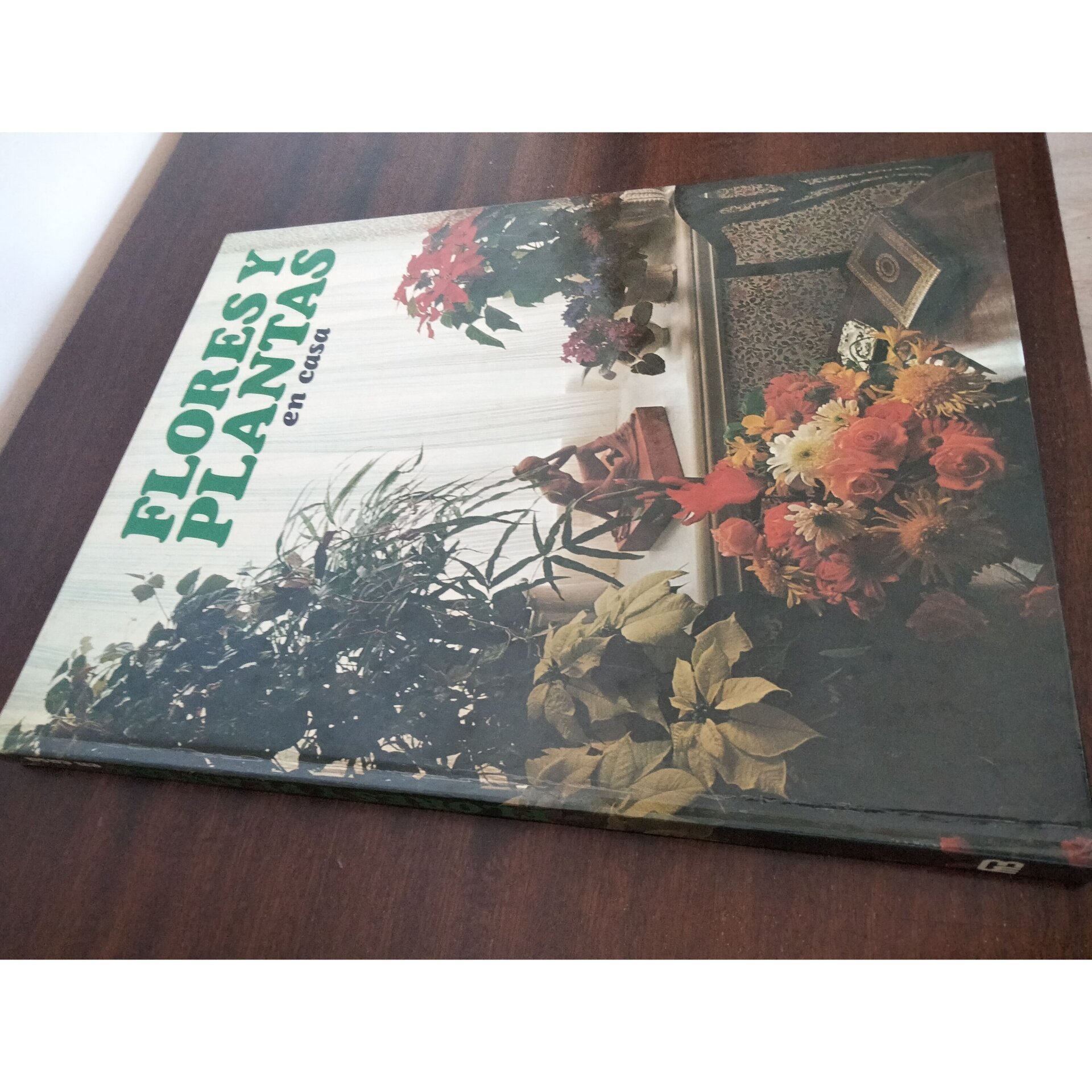 Flores y plantas en casa - 3