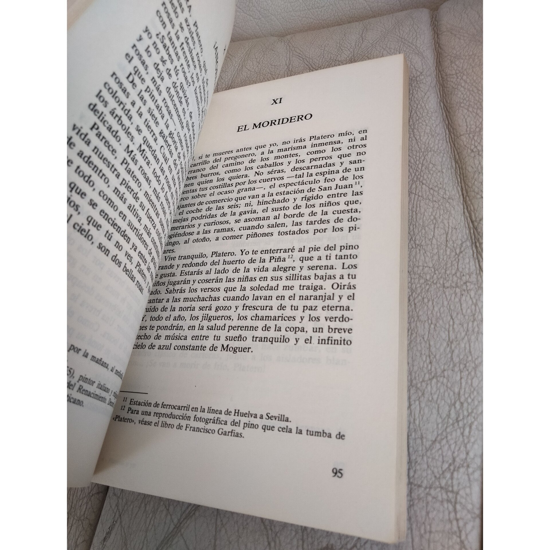 Platero y Yo - 5