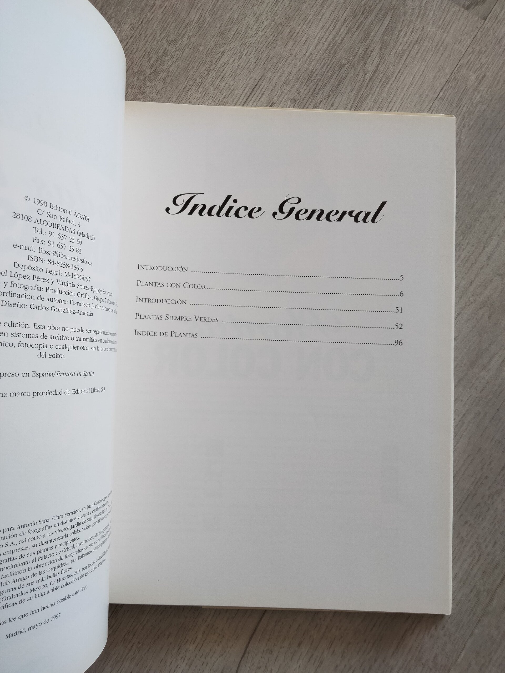 Todas las plantas de interior - 7