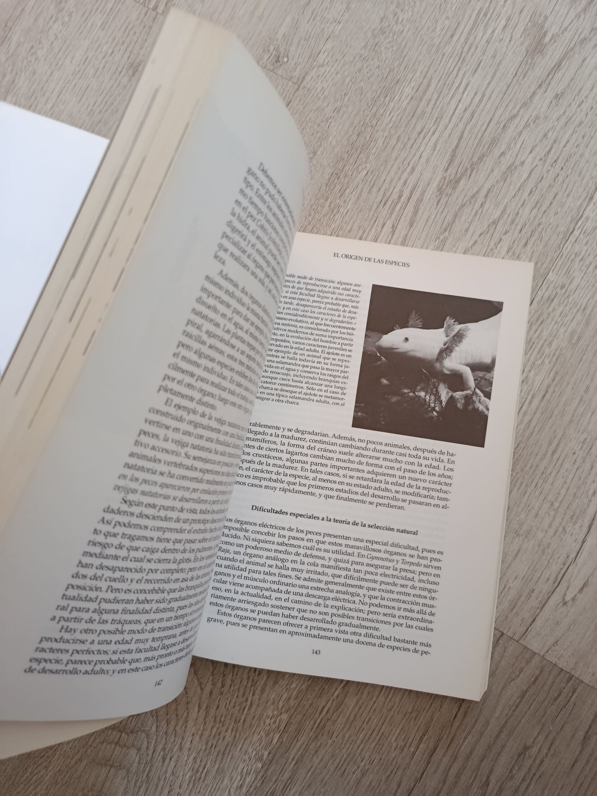 El origen de las especies - Charles Darwin (ilustrado) - 9