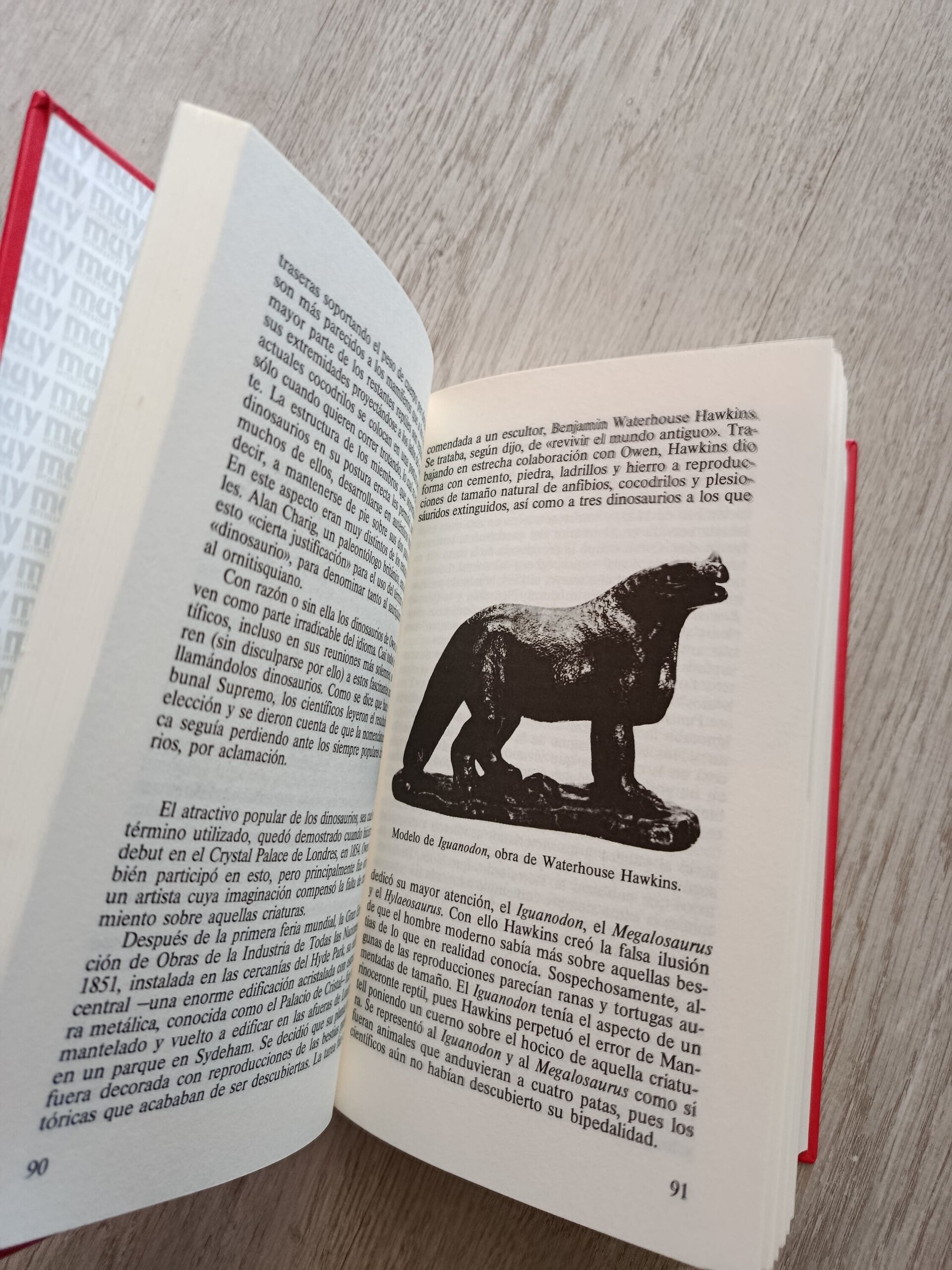 El enigma de los dinosaurios - 8