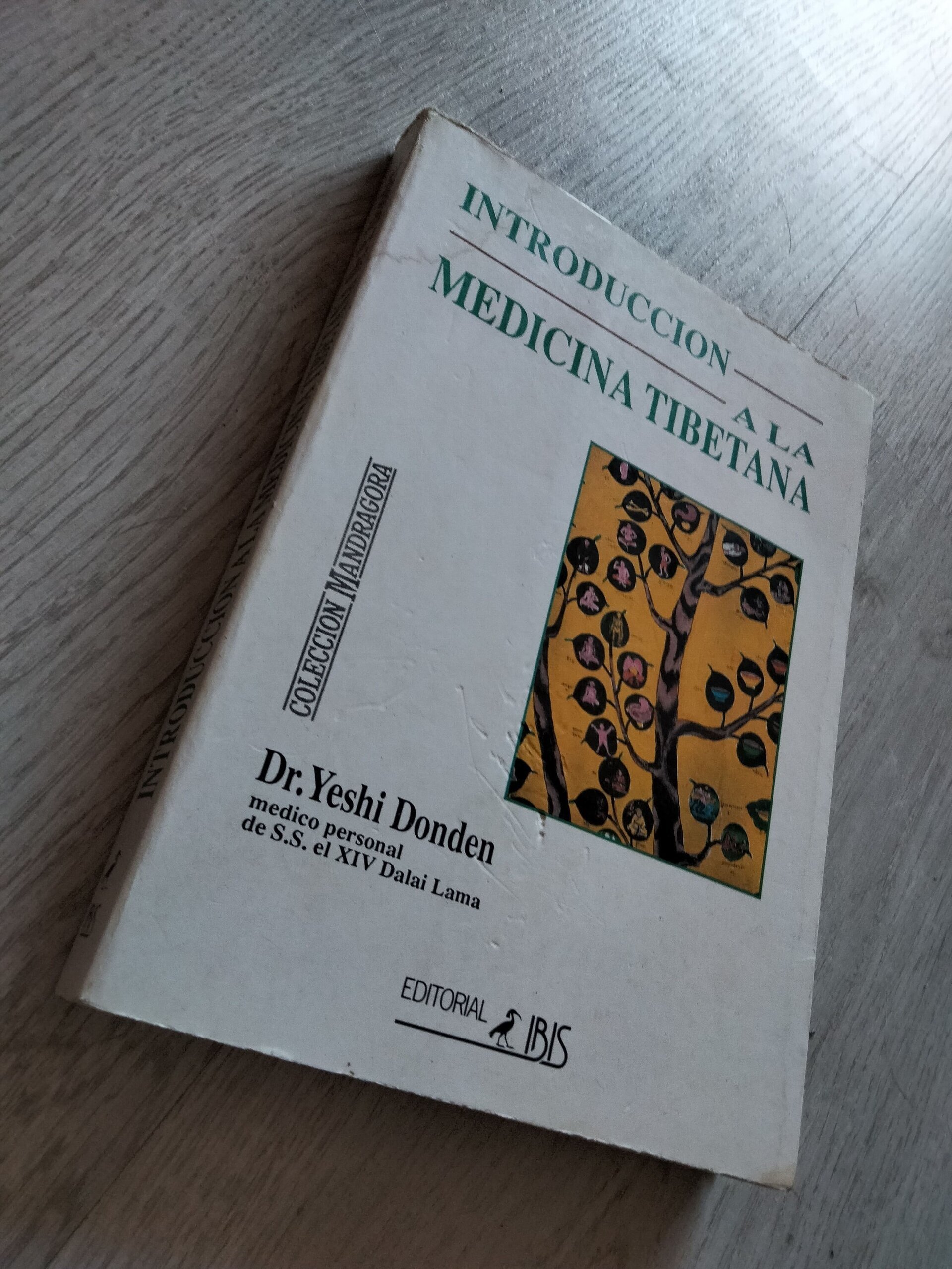 Introducción a la medicina tibetana - 2