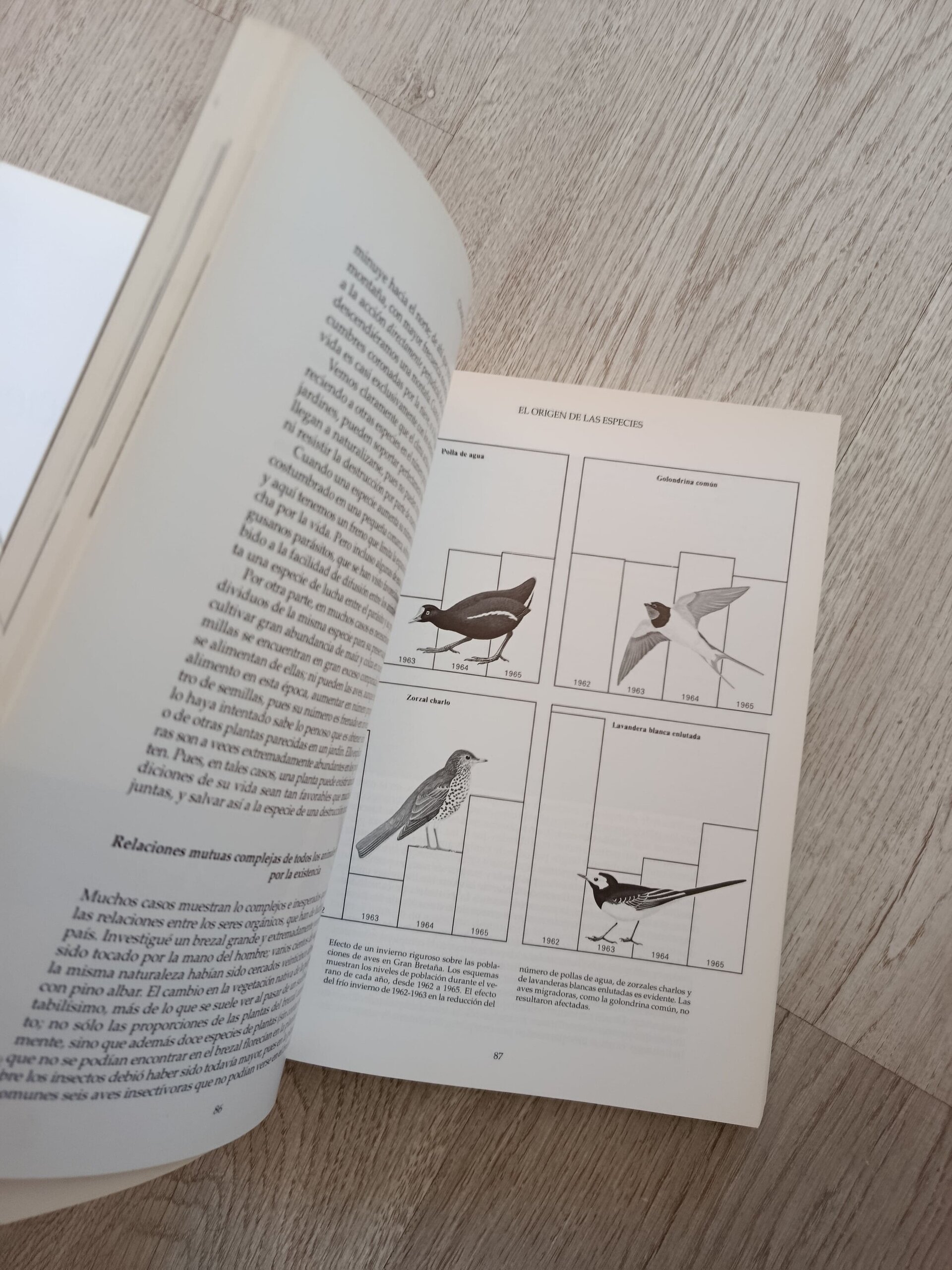 El origen de las especies - Charles Darwin (ilustrado) - 6