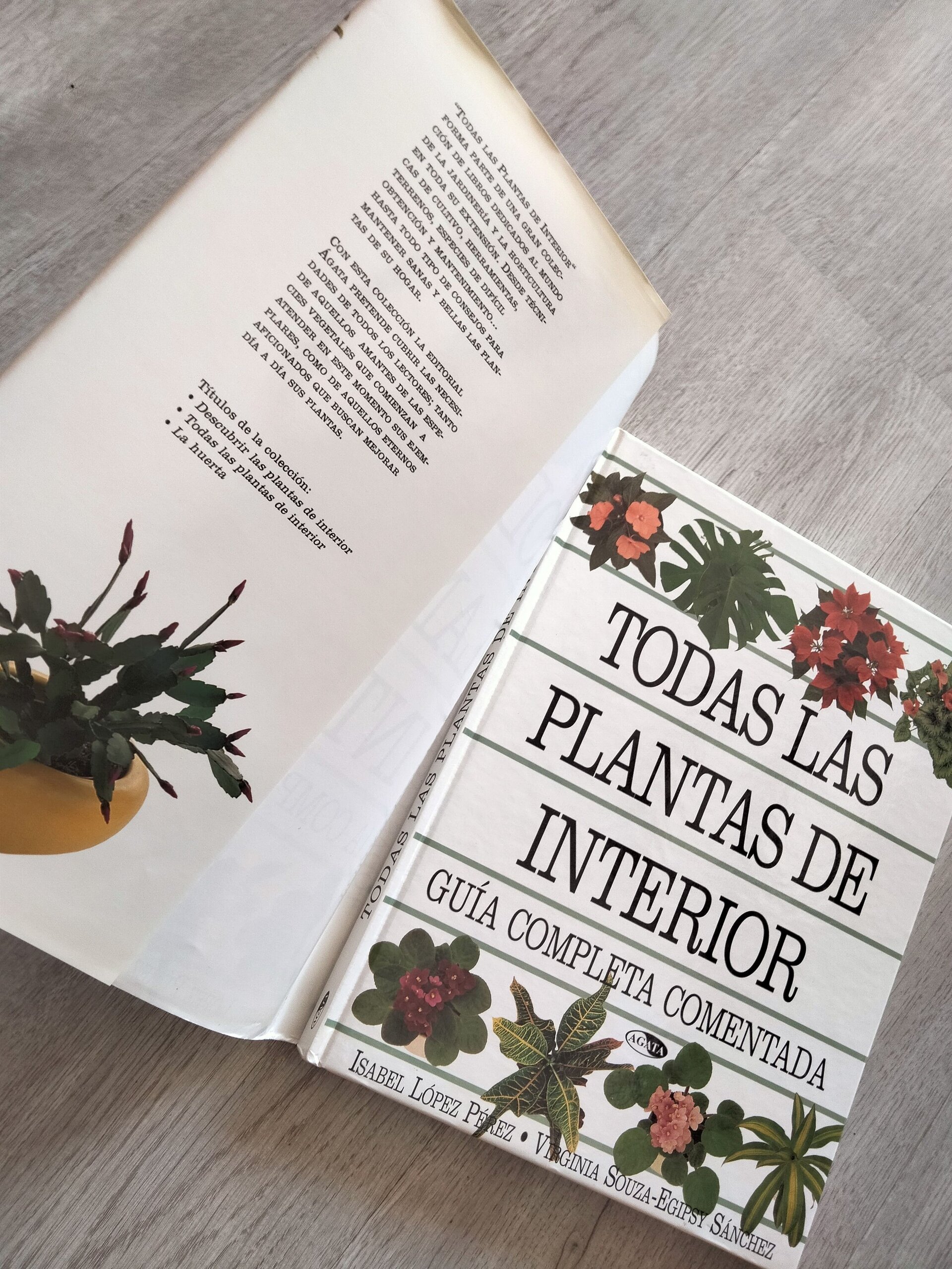 Todas las plantas de interior - 4