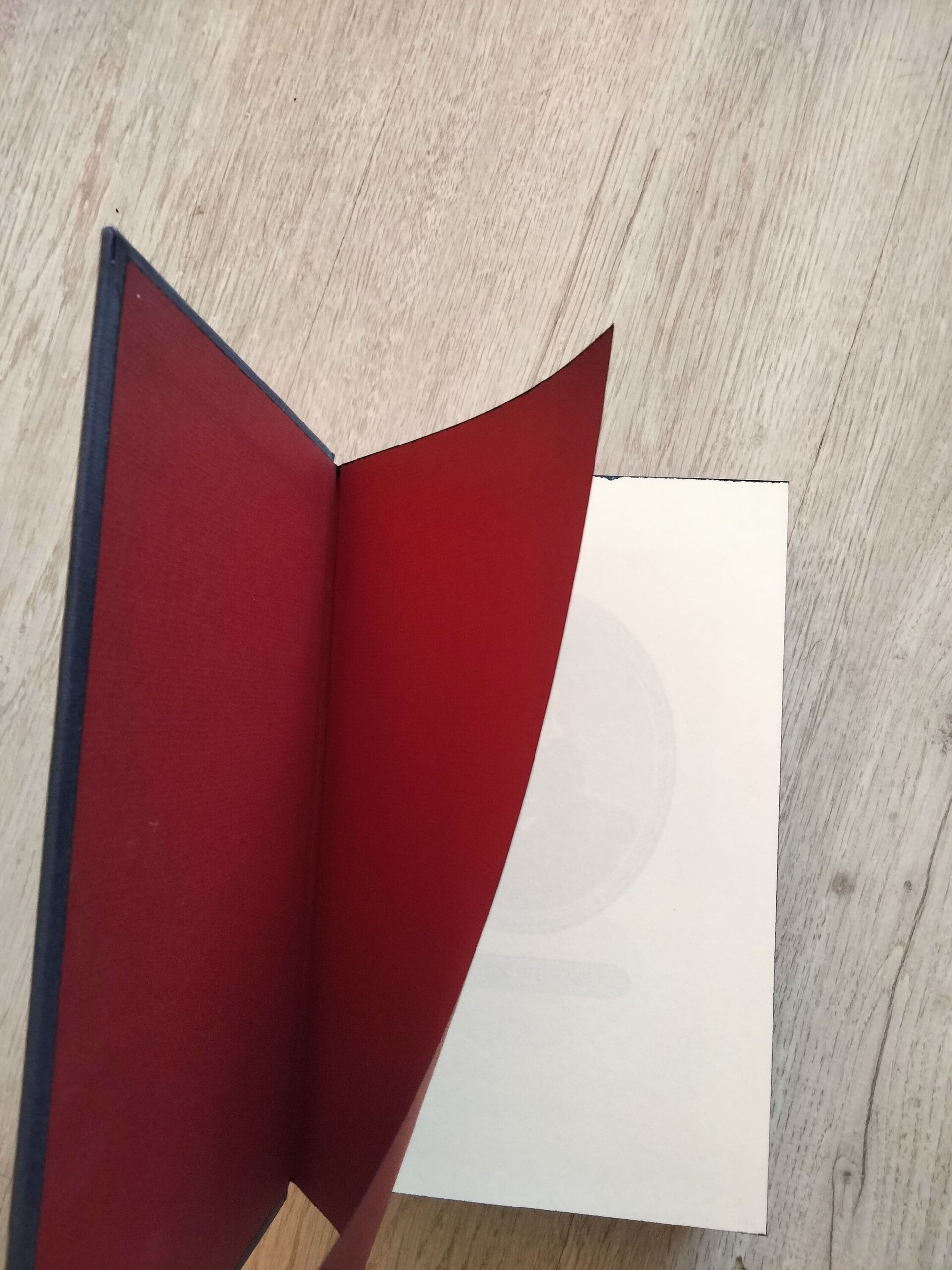 Julio Verne - Los hijos del Capitán Grant - 5