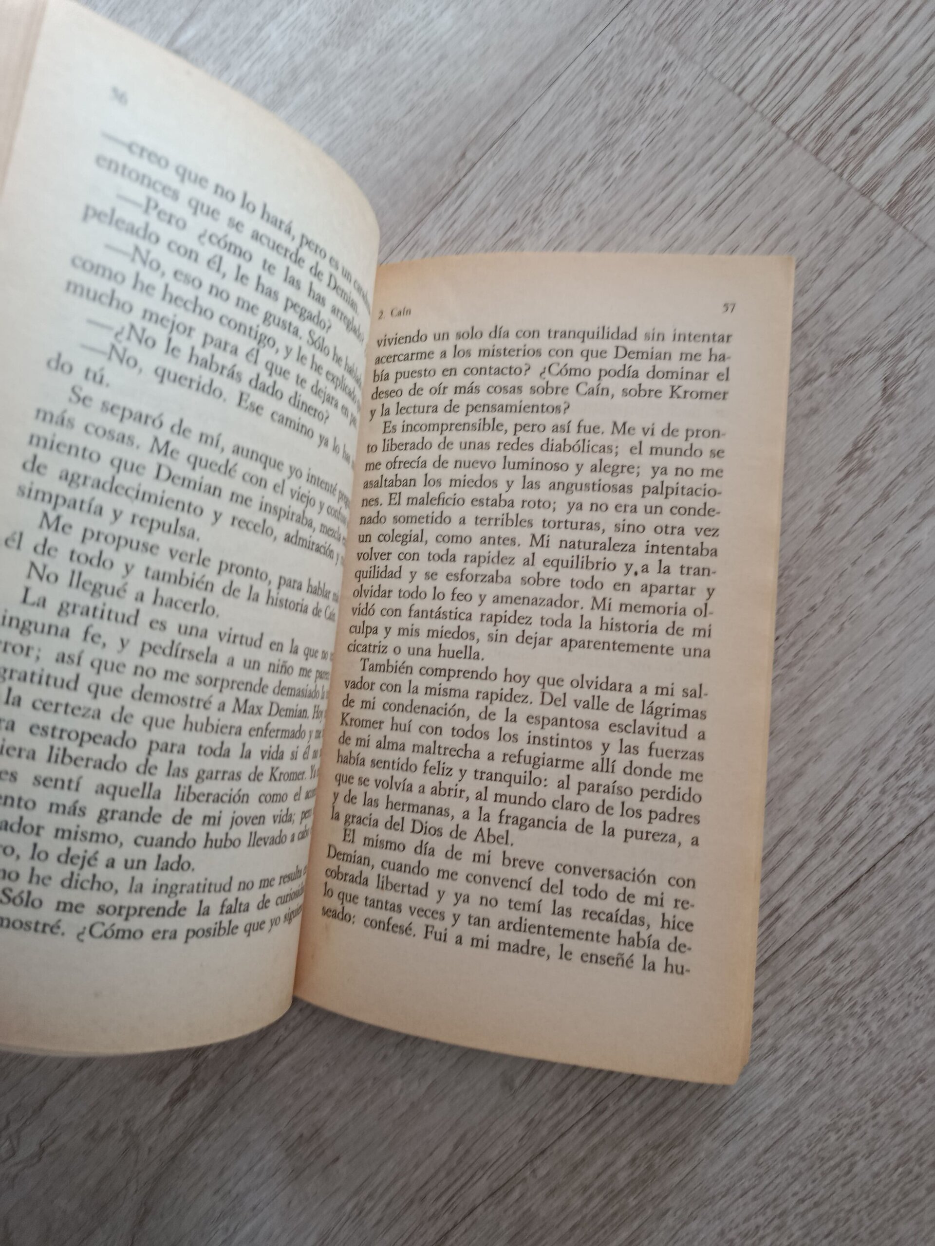 Hermann Hesse - Demian - 5