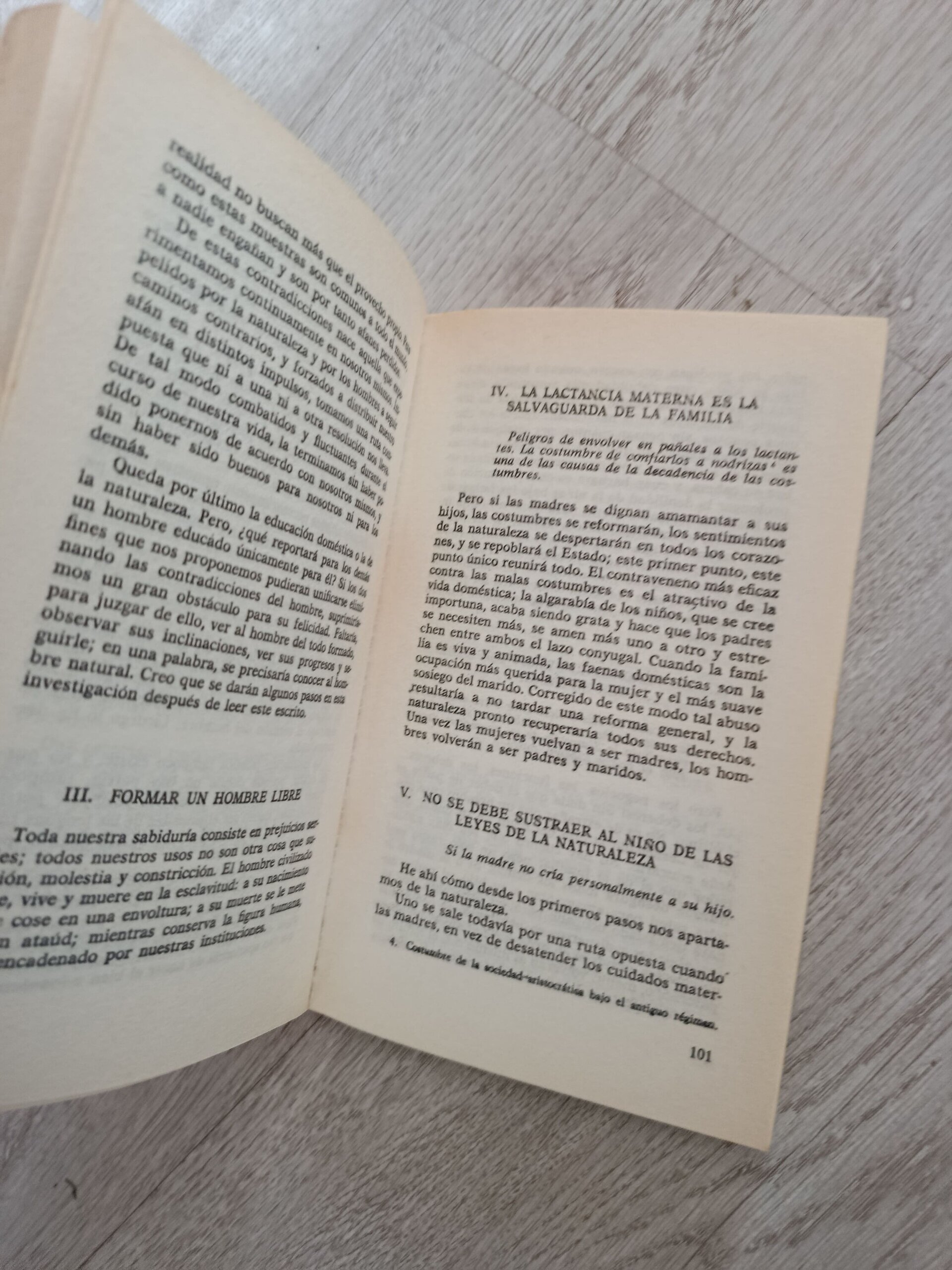 Emilio o de La Educación - 6